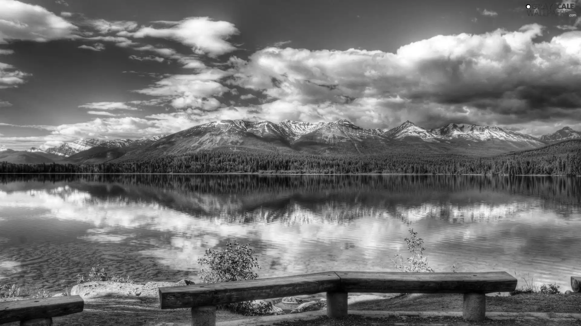 lake, Mountains, bench, forest