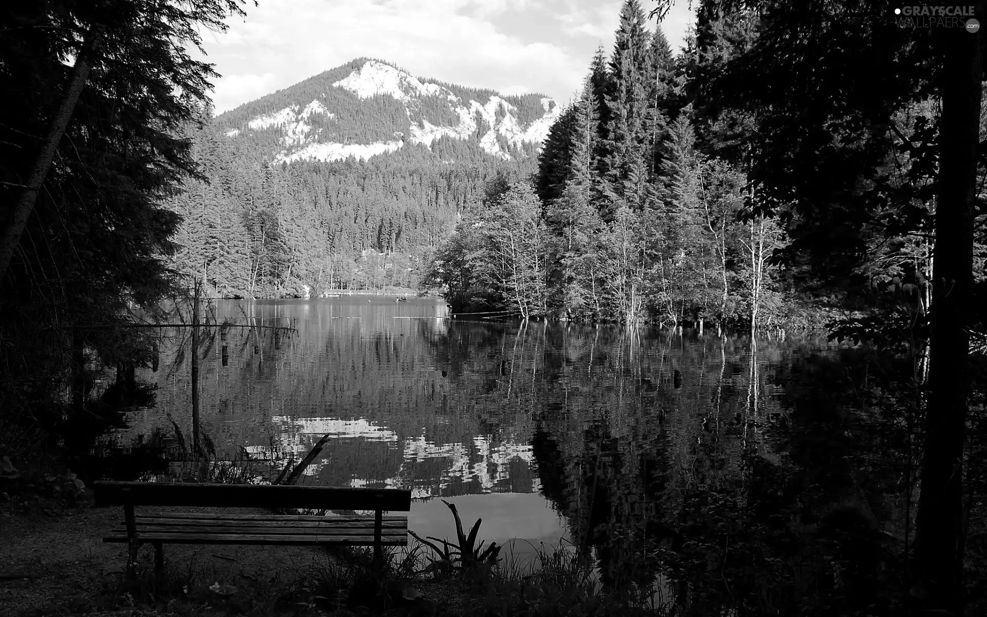 Mountains, forest, Bench, lake