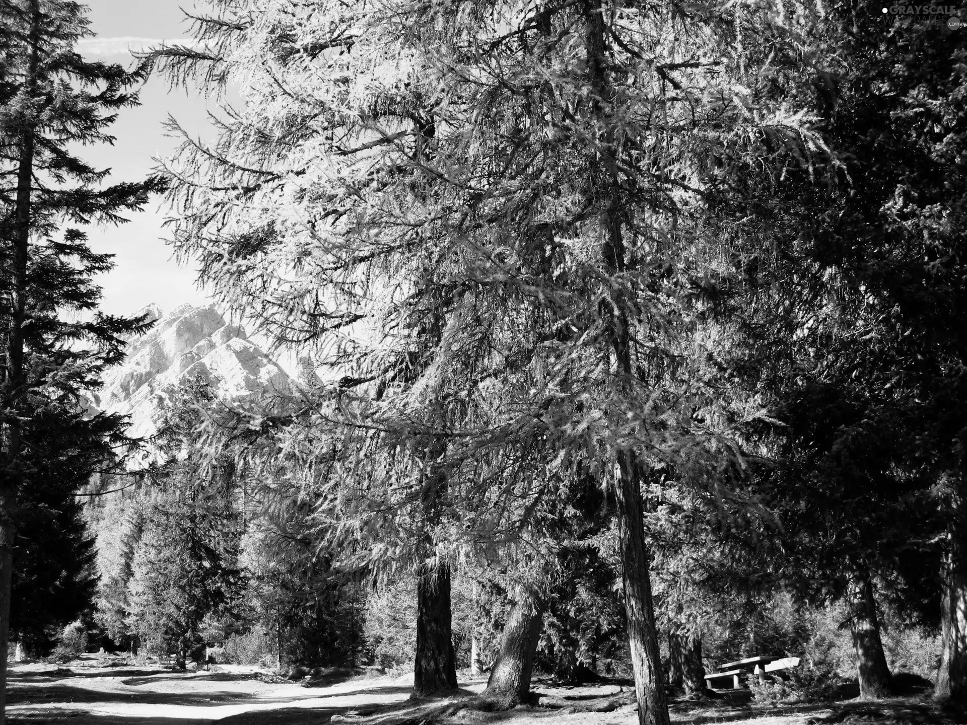 Mountains, lane, Bench, Park