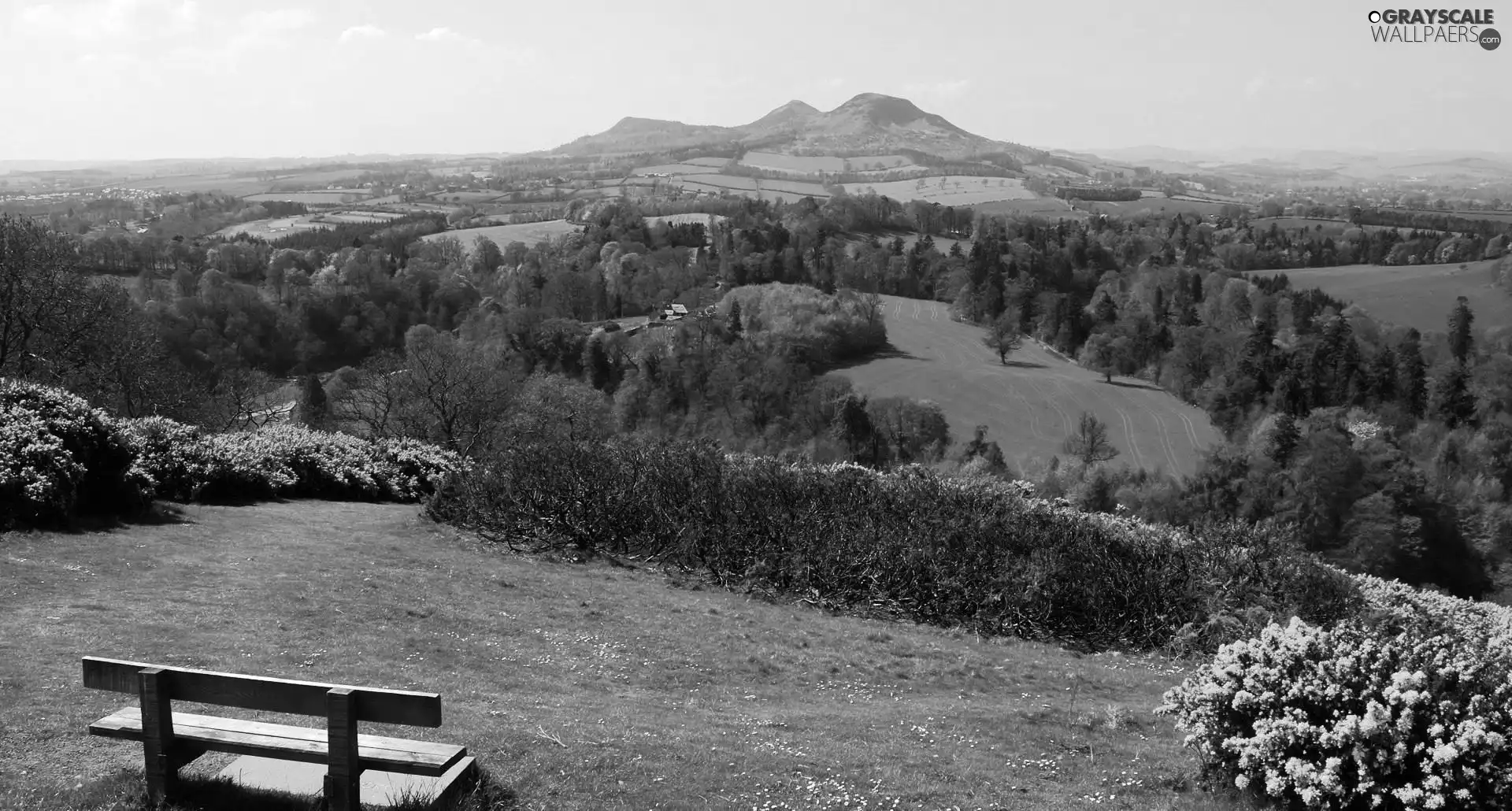 Mountains, medows, Bench, woods