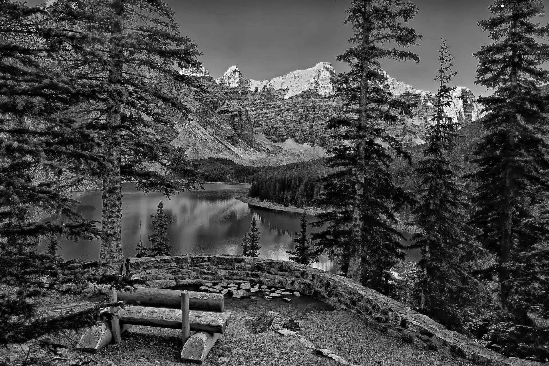 Mountains, Spruces, Bench, lake