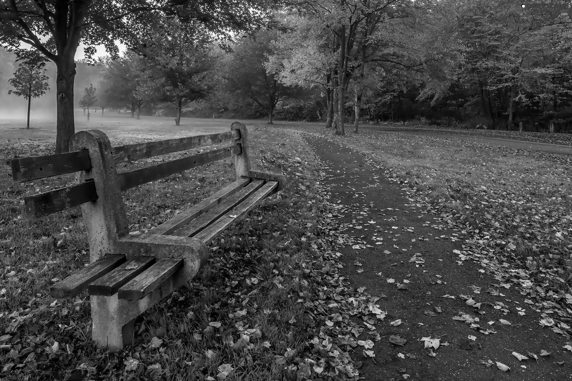 Bench, autumn, Park