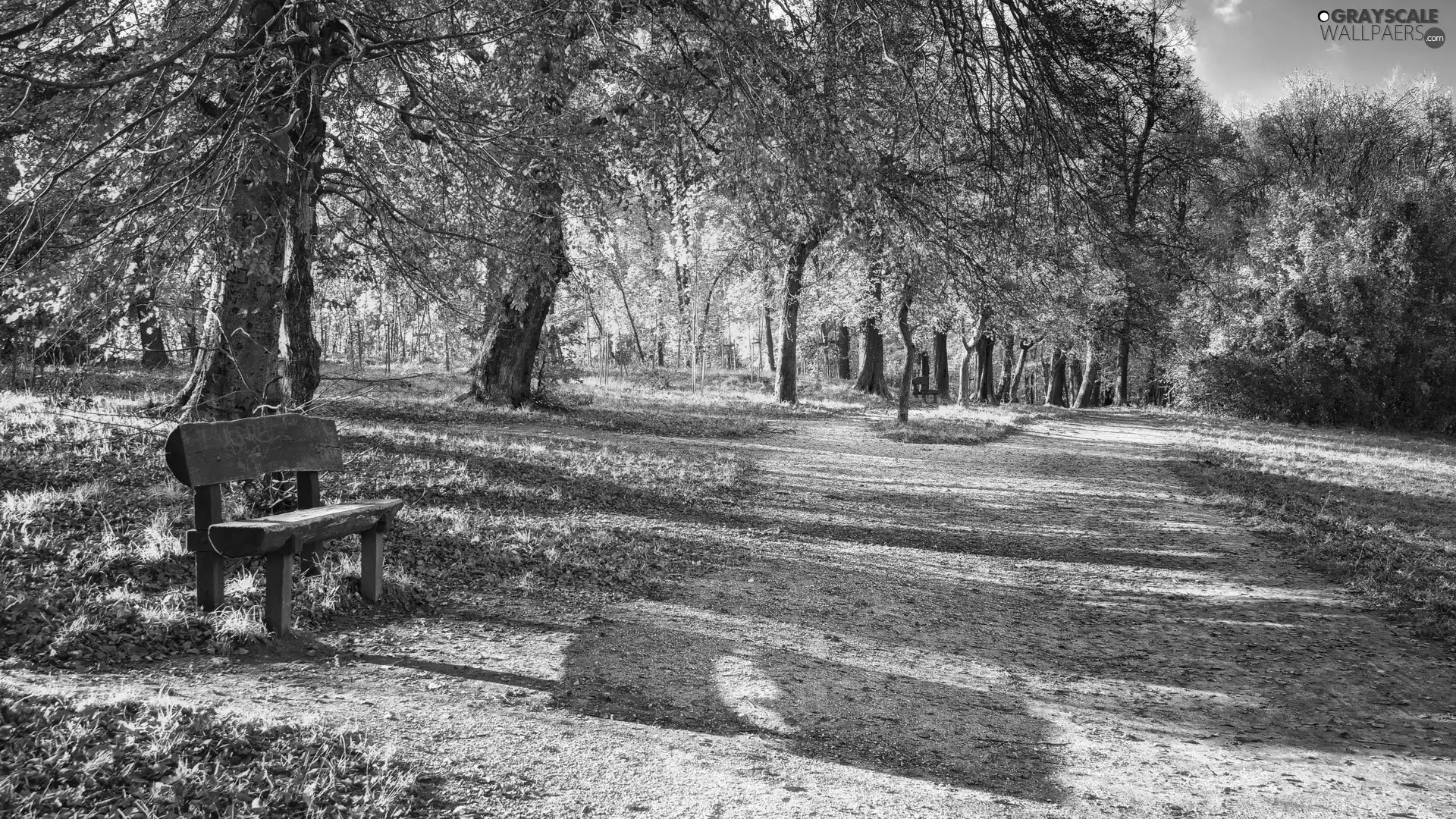 Bench, autumn, Park