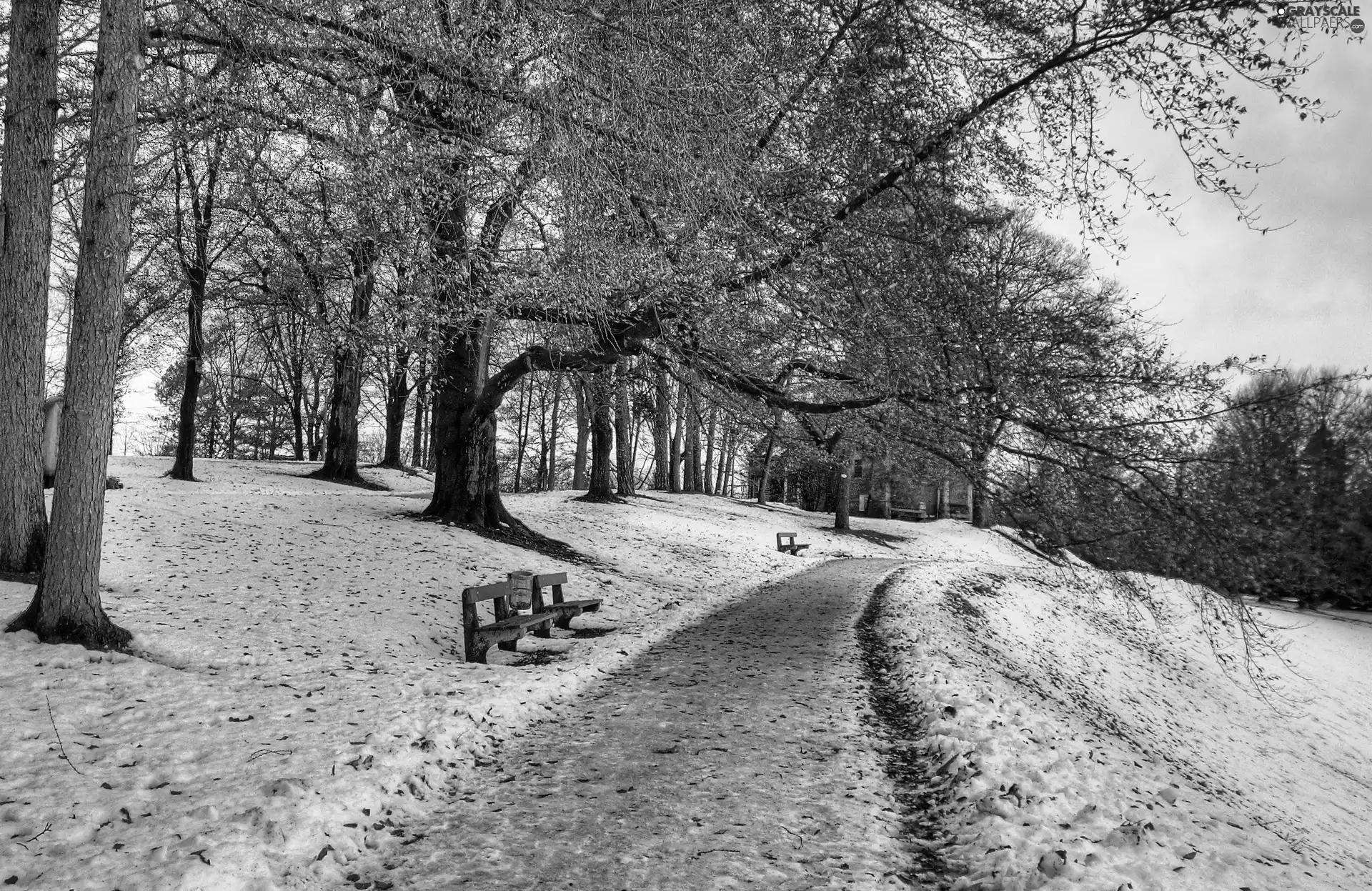bench, winter, Park