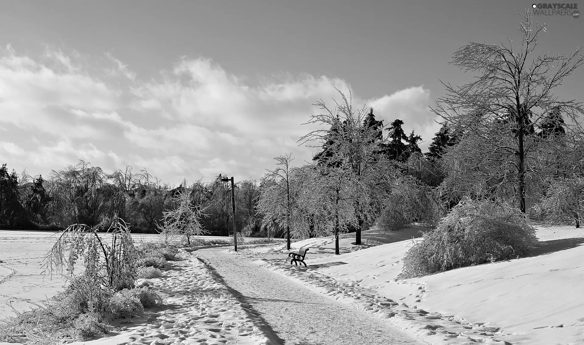 Bench, winter, Park