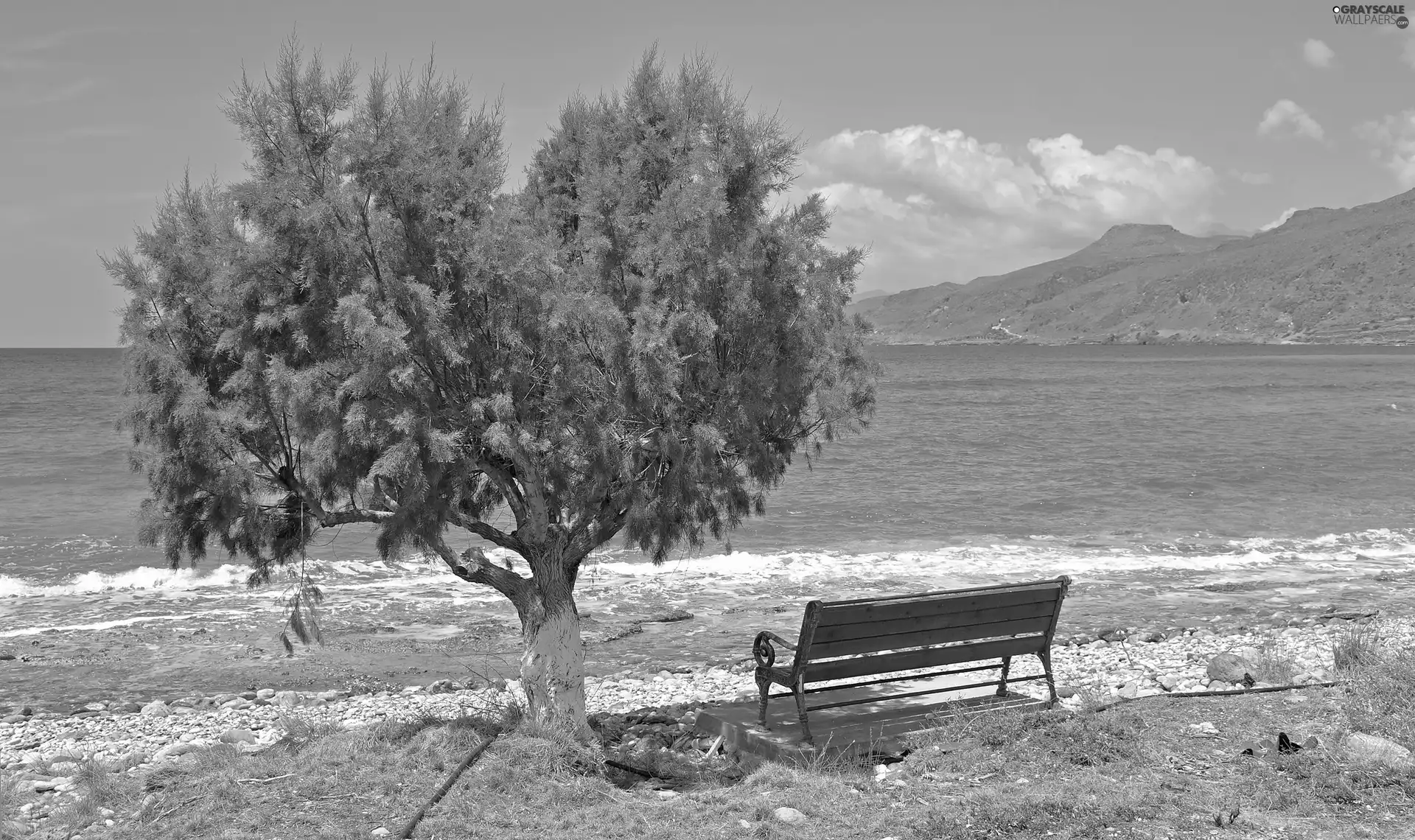 Bench, sea, trees