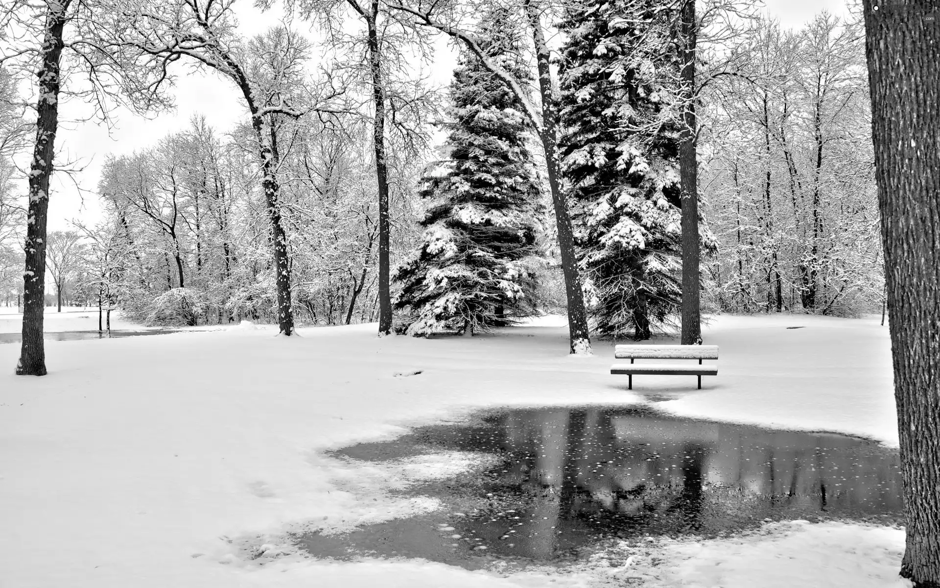 Bench, winter, trees, viewes, Park