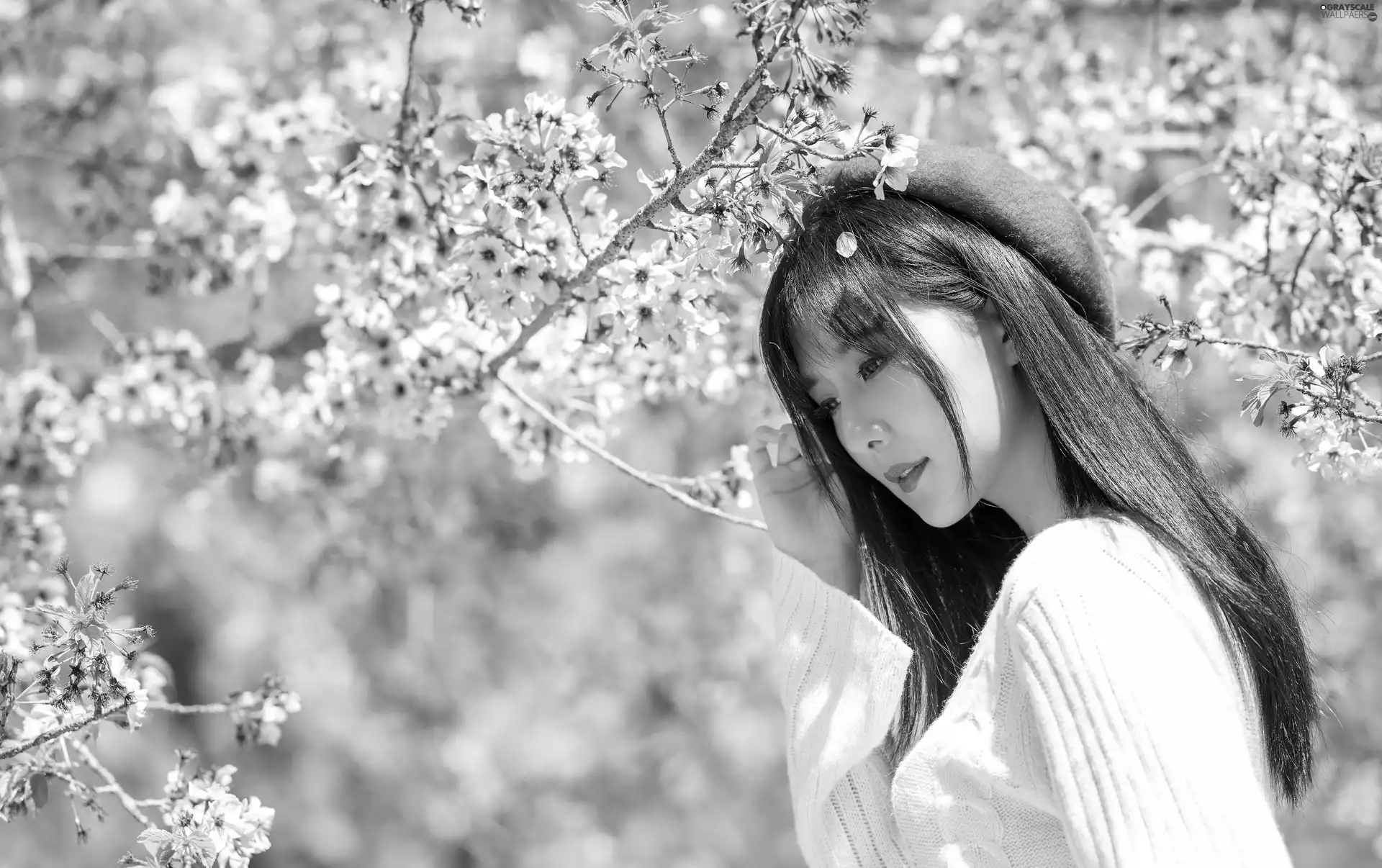 flourishing, Asian, viewes, beret, Women, trees, blur