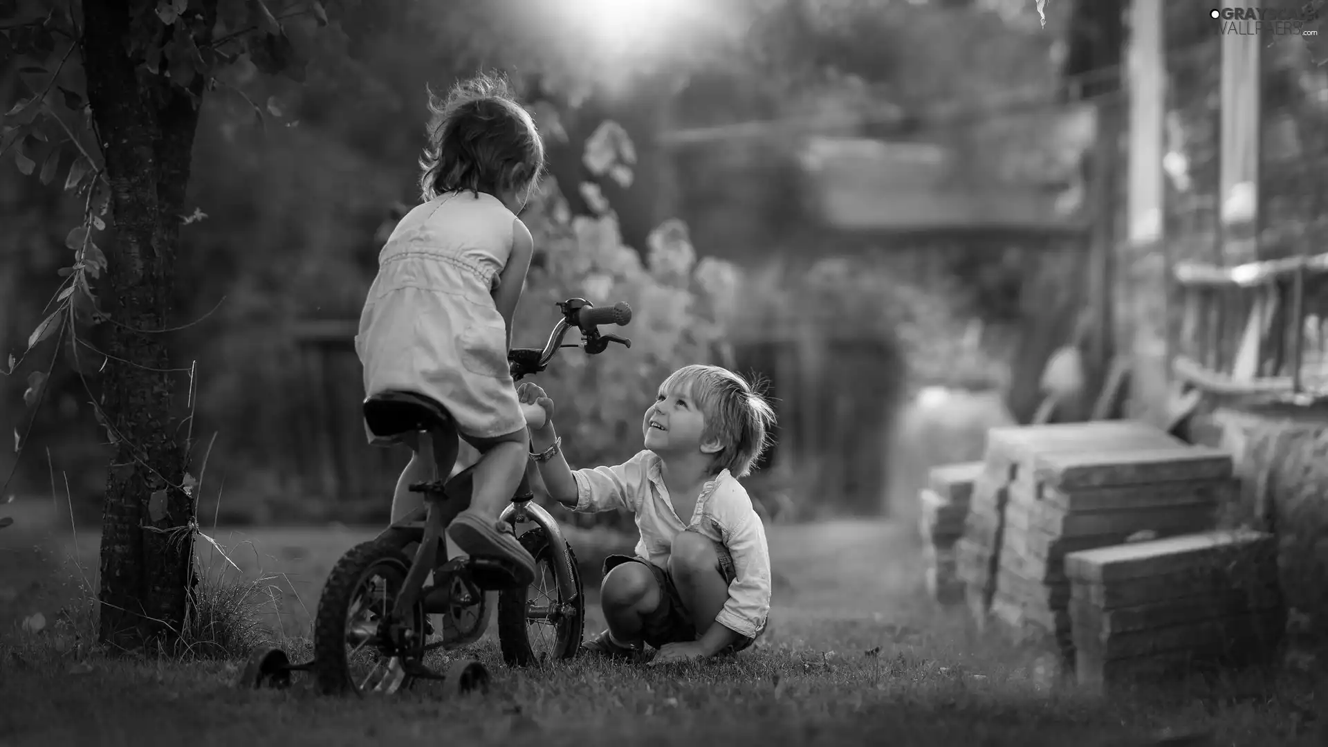 Kids, girl, Bicycle, boy