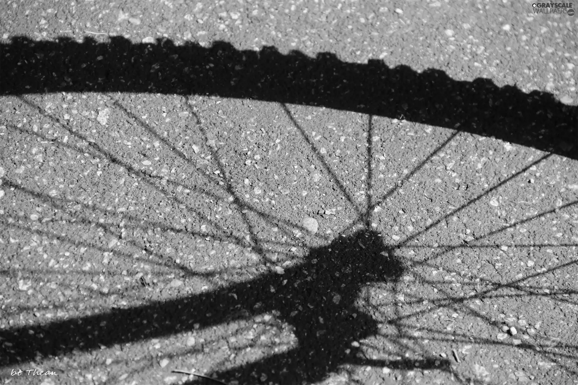 bicycle, shadow, wheel