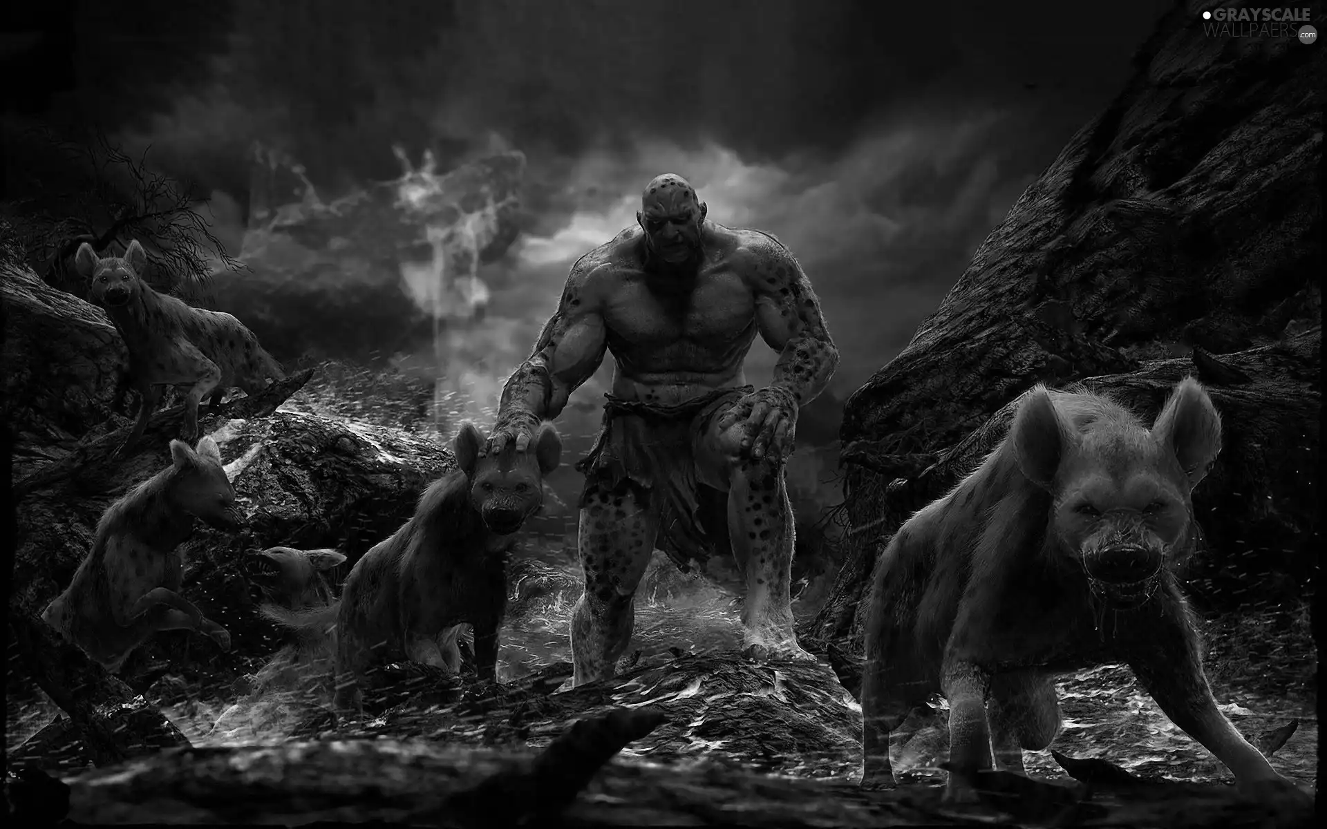 form, hyena, Big Fire, dark