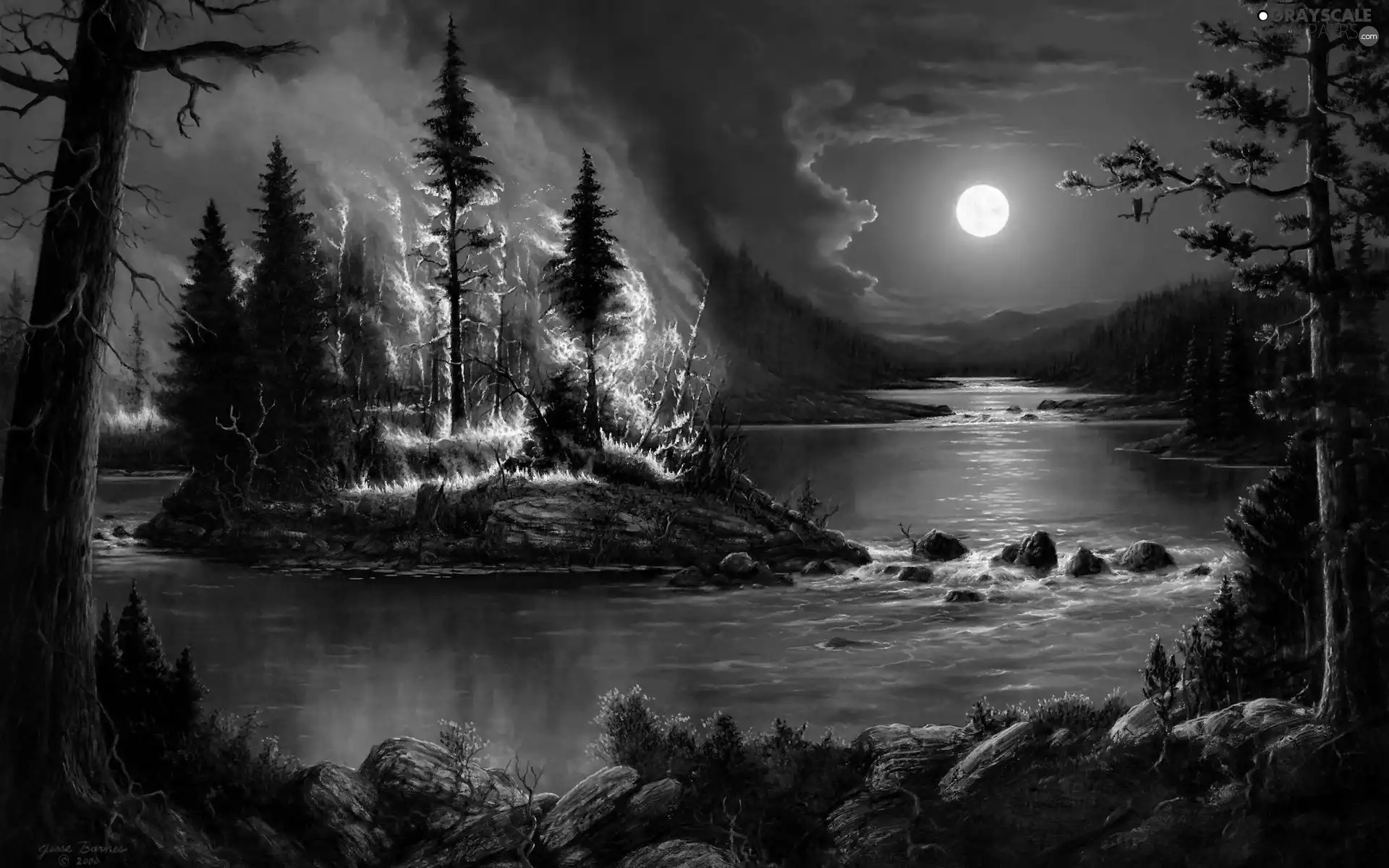 Big Fire, moon, forest, River, Night