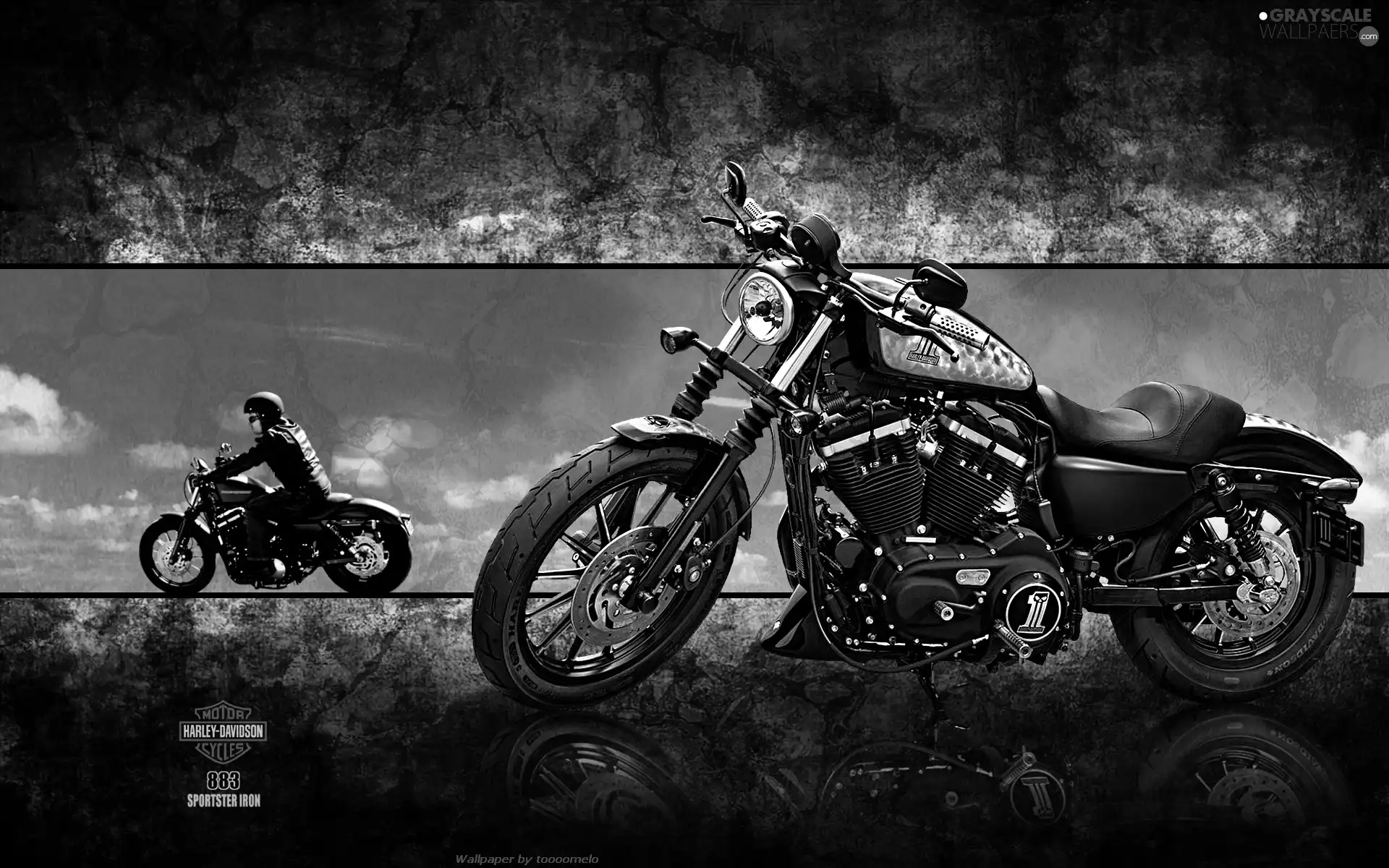 Motorcyclist, Harley-Davidson XL883N Iron, motor-bike