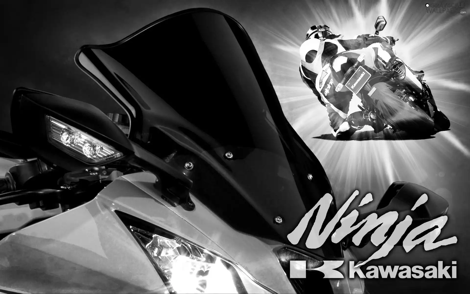 Becks - motorbike, Motorcyclist, motor-bike, Green, Kawasaki ZX-10R Ninja
