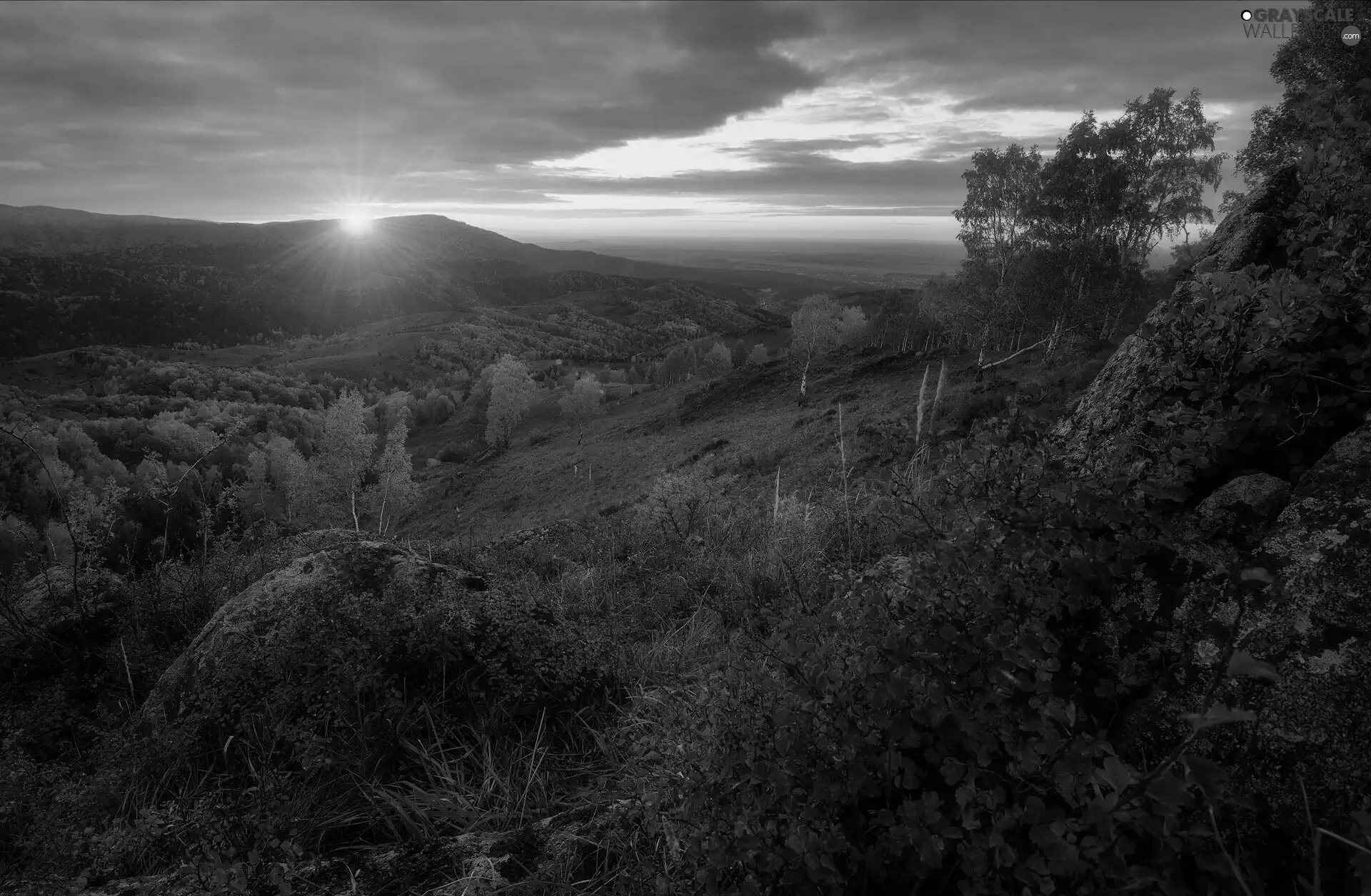 Great Sunsets, Altai Mountains, autumn, trees, Altai Republic, Russia, birch, rocks, viewes
