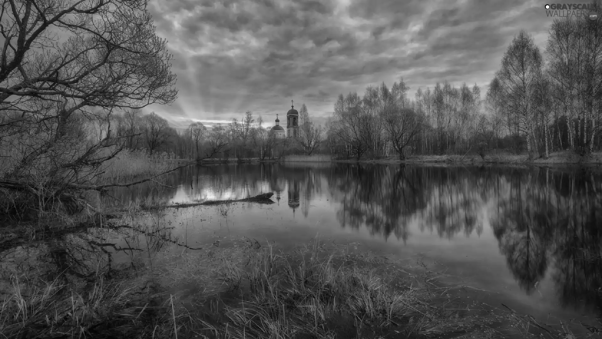 viewes, Sunrise, reflection, trees, lake, birch, Cerkiew