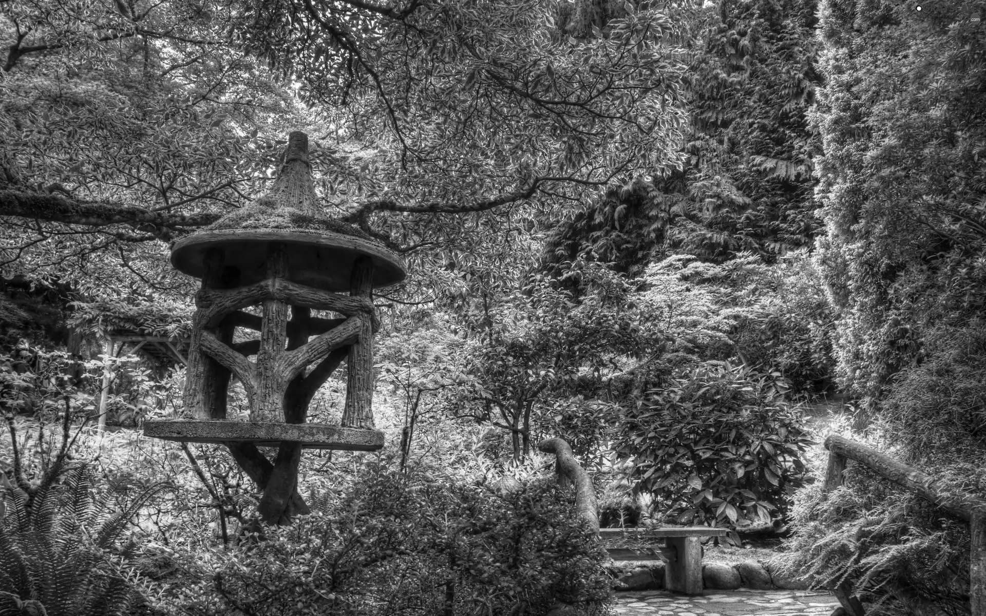 Bird, Park, Bench