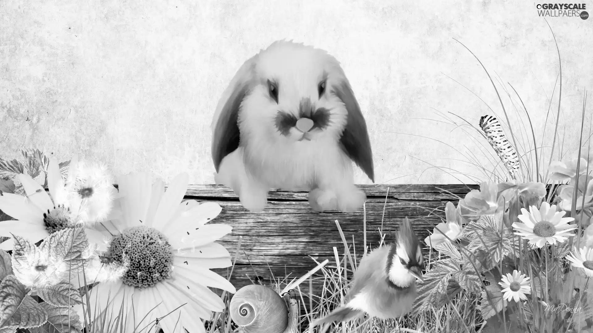 Flowers, snail, Bird, Rabbit