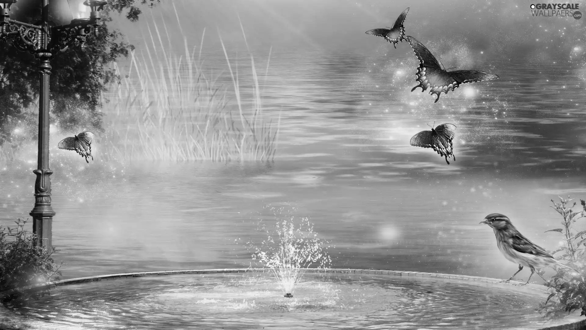 fountain, butterflies, Bird, water