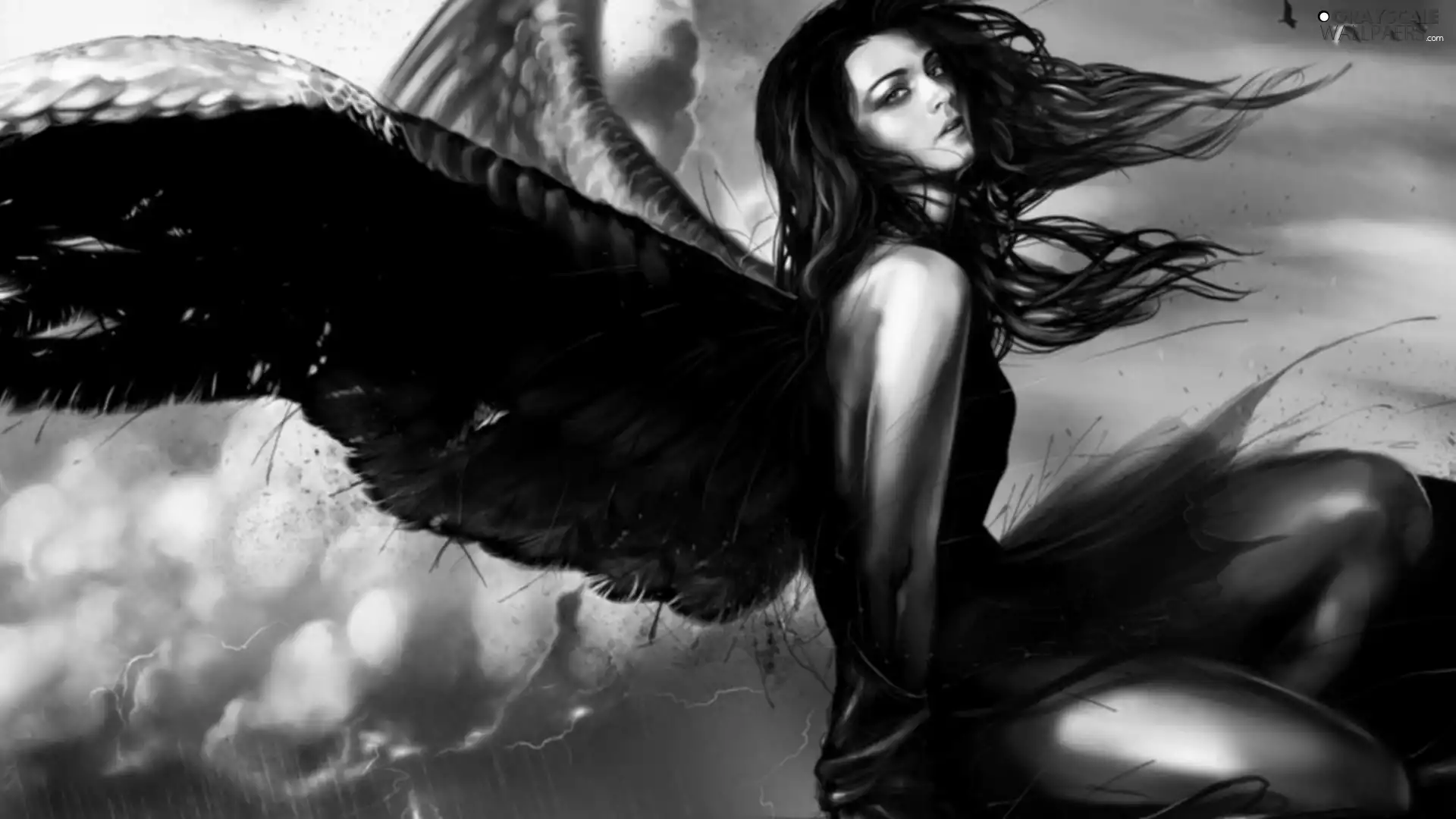 birds, dark, angel