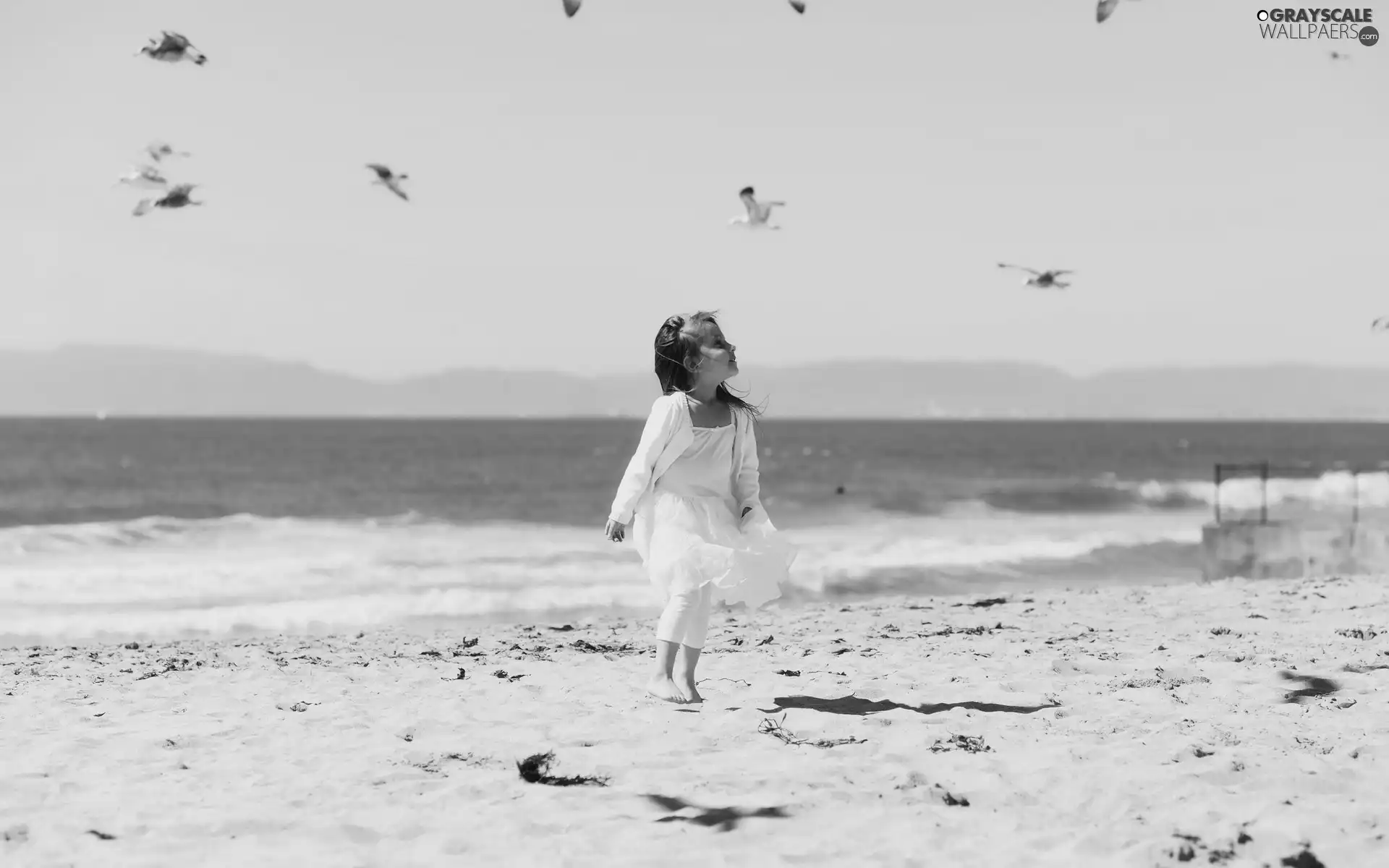 girl, sea, birds, Beaches