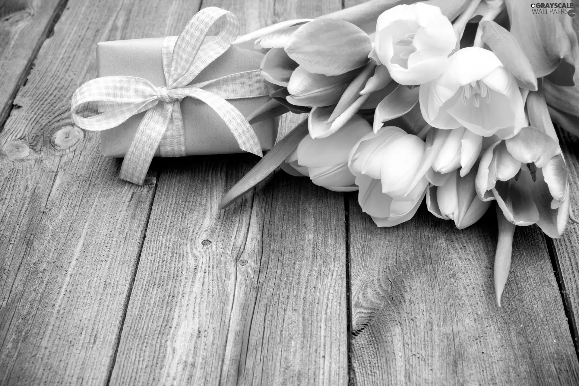 birthday, thanks, Tulips, Present, Flowers