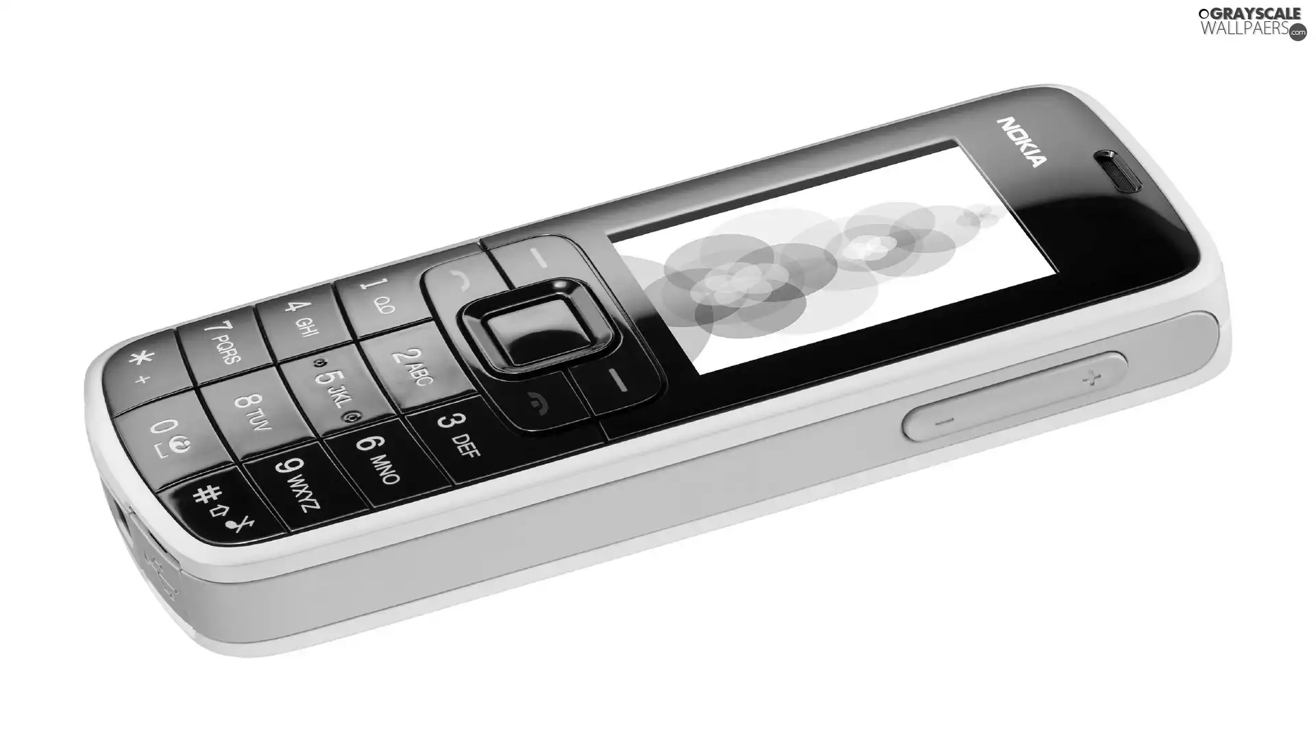 Gray, nokia_3110 evolve, black
