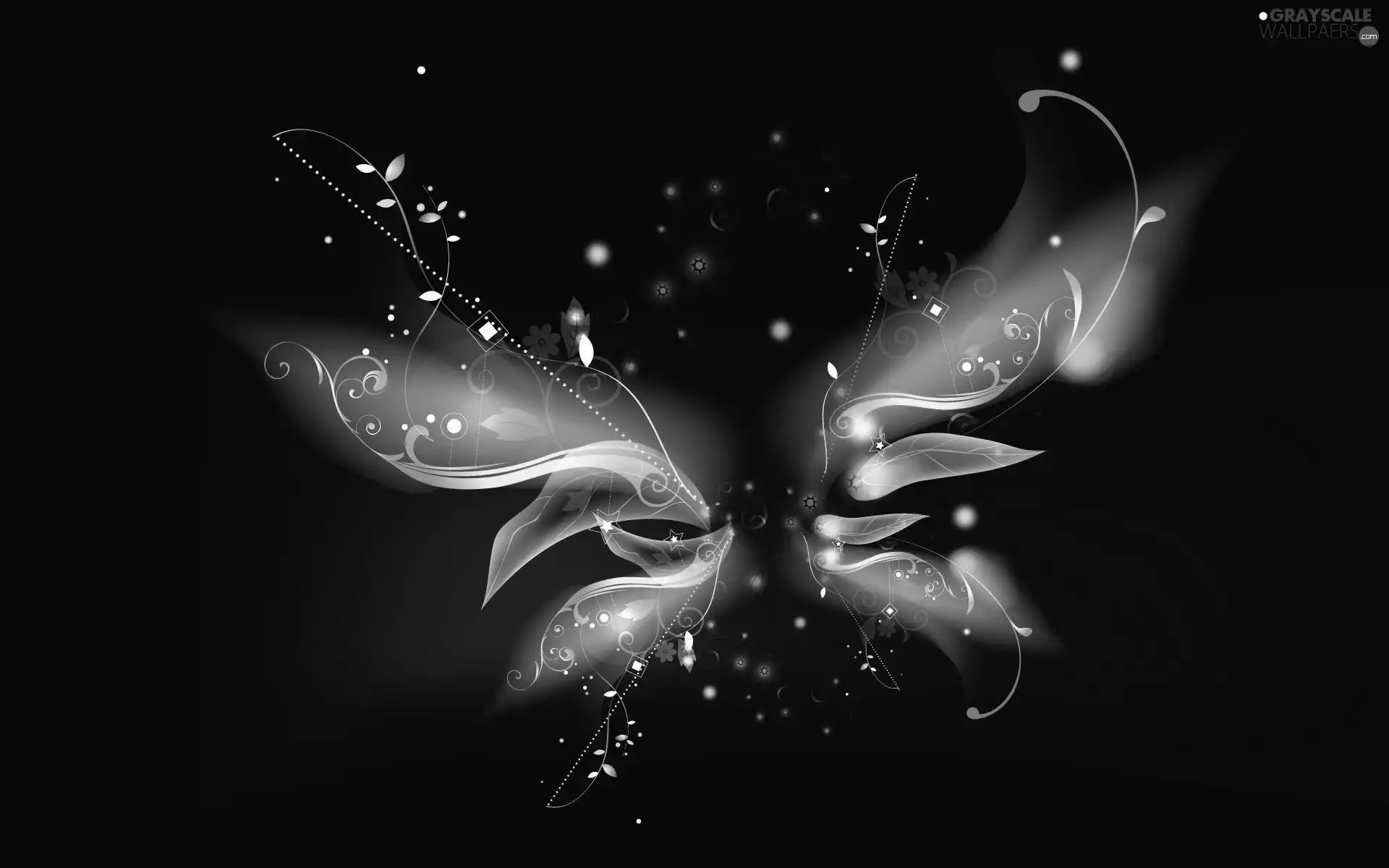 Black, background, color, butterfly, abstraction
