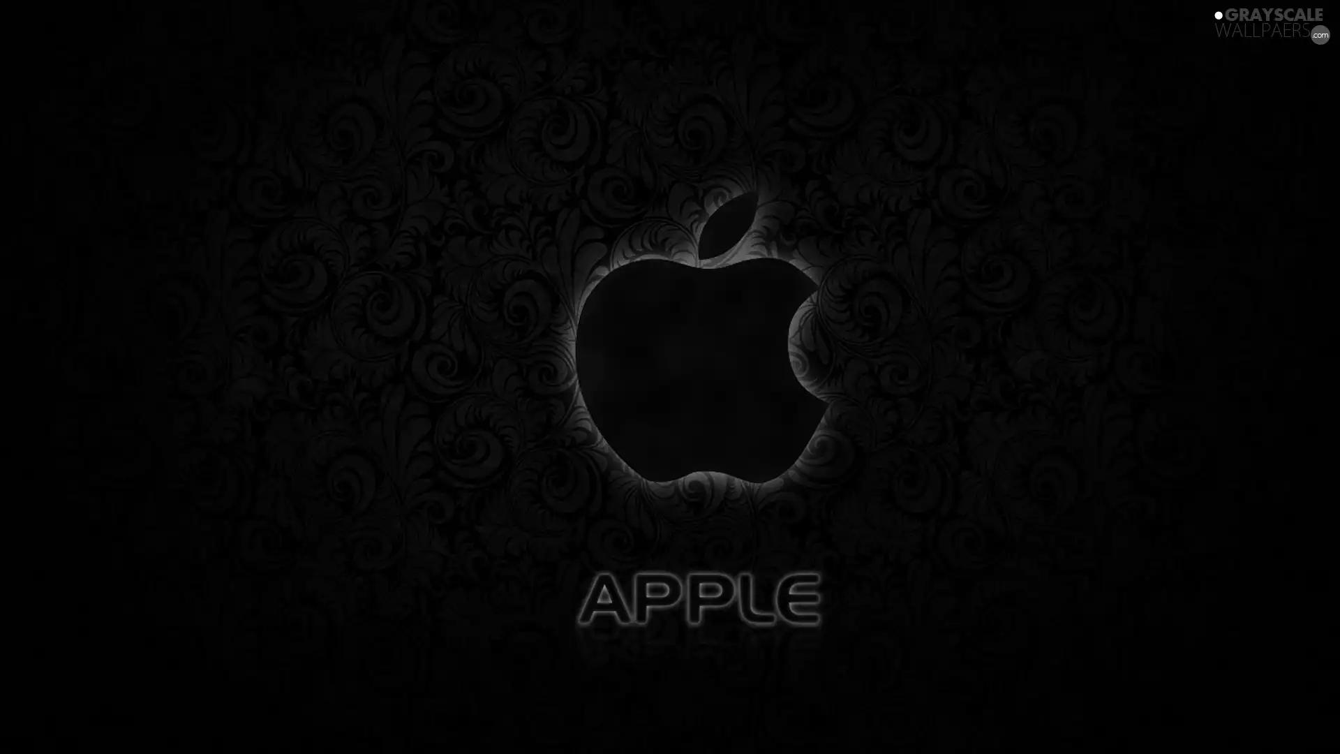 Black, background, outline, Apple, Violet