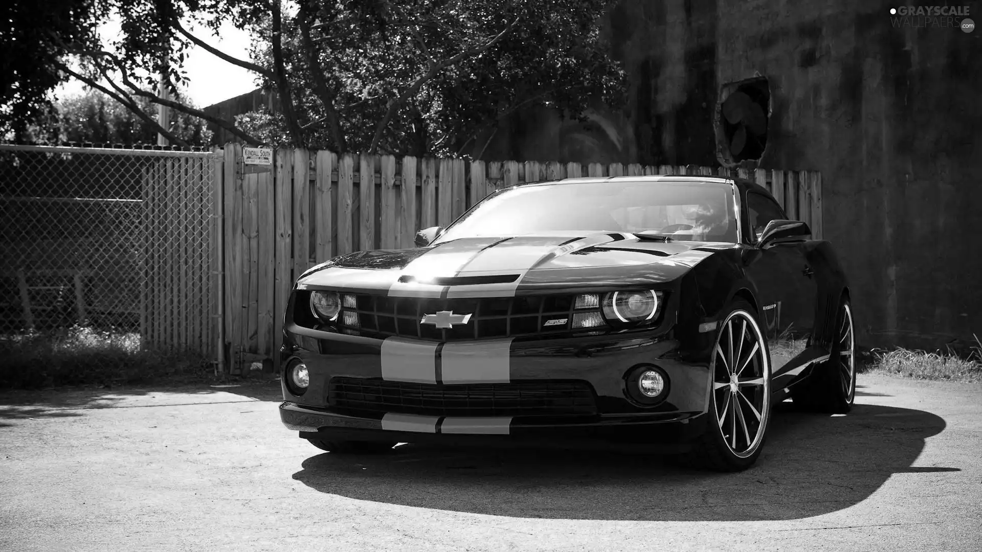 Black, Chevrolet, Camaro