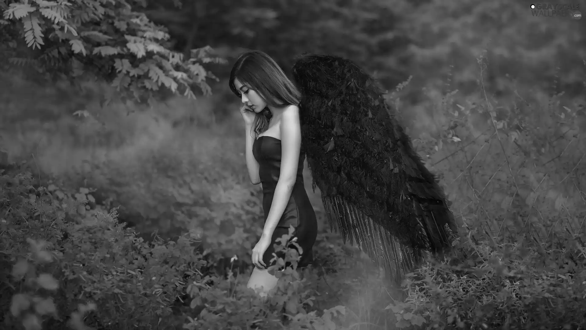 fantasy, wings, Black Angel, Women