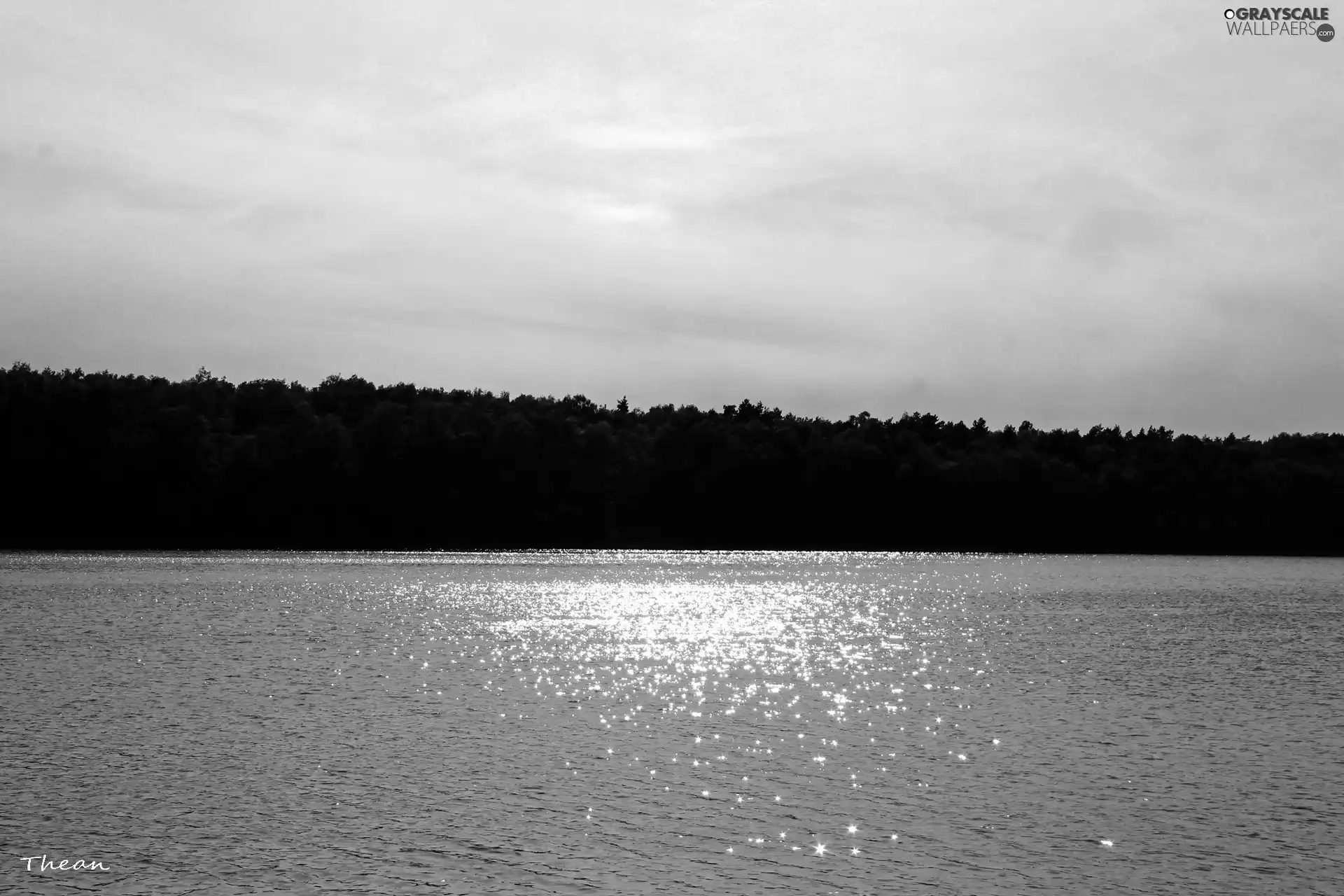 lake, viewes, black and White, trees