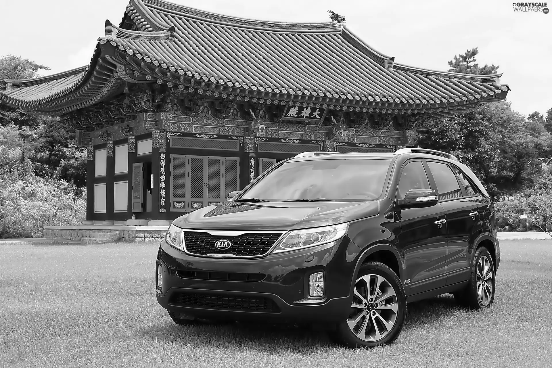 Black, pagoda, Sorento, V6, Kia