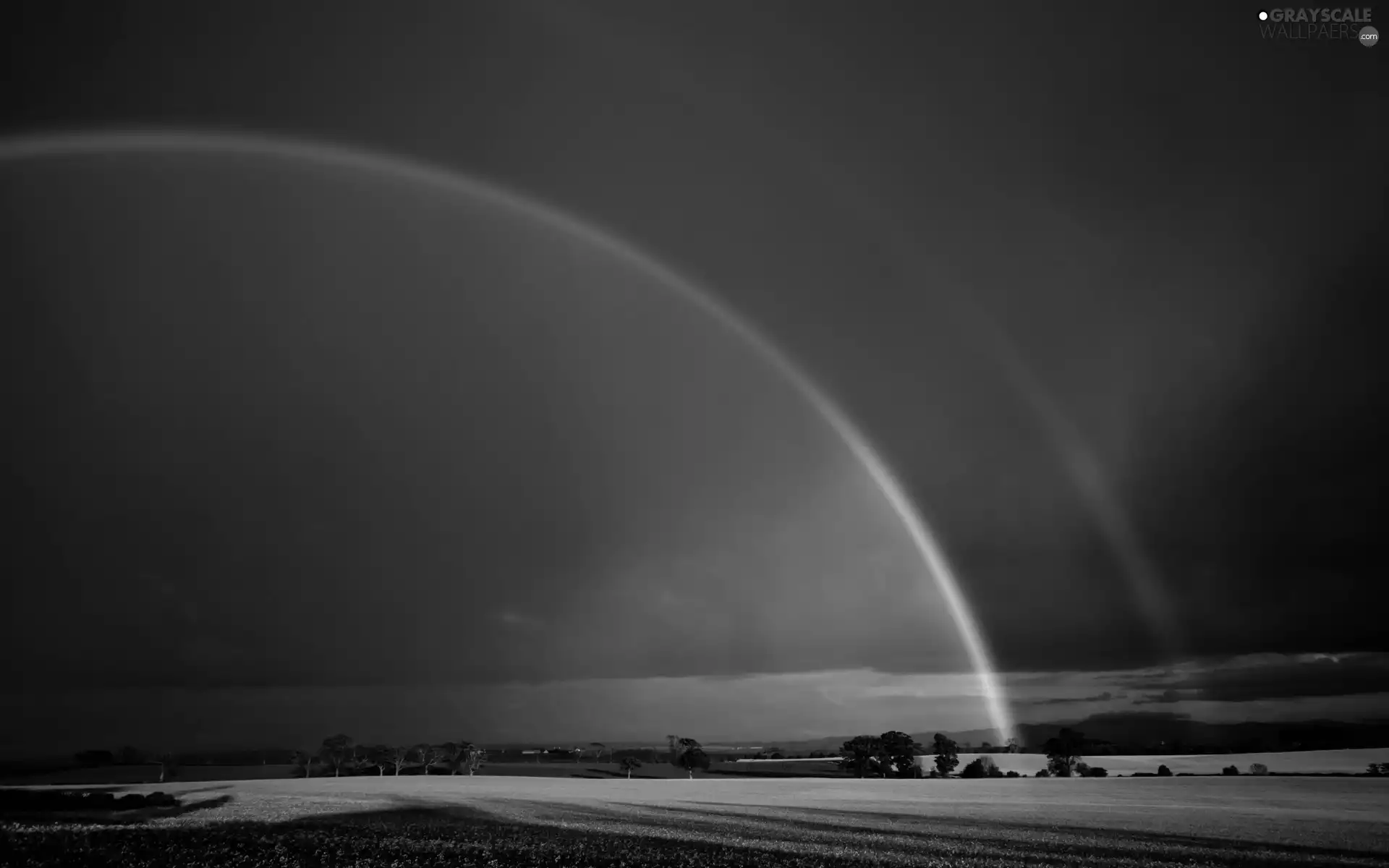 Black, Sky, by, Polami, rainbows