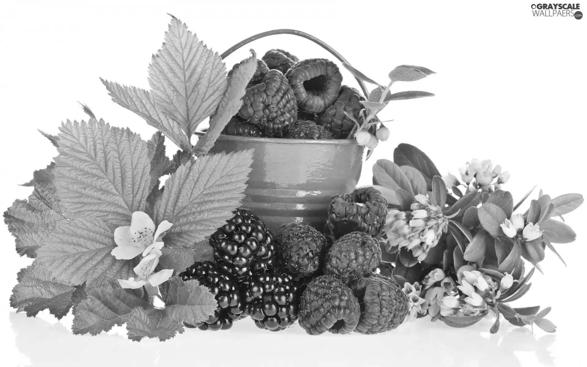 blackberries, Flowers, Bucket, raspberries, green ones