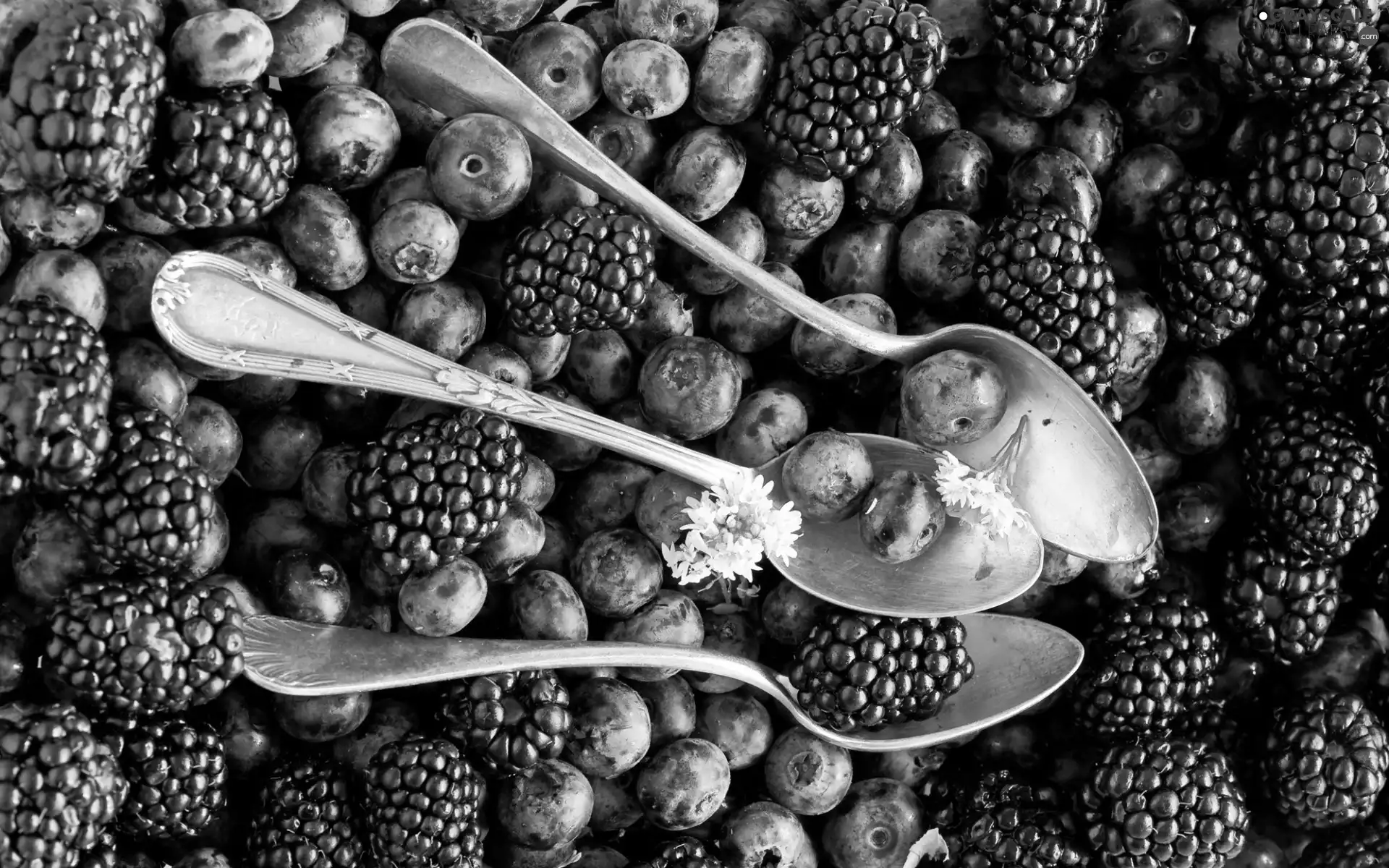 blackberries, Flowers, Spoons, blueberries, Three