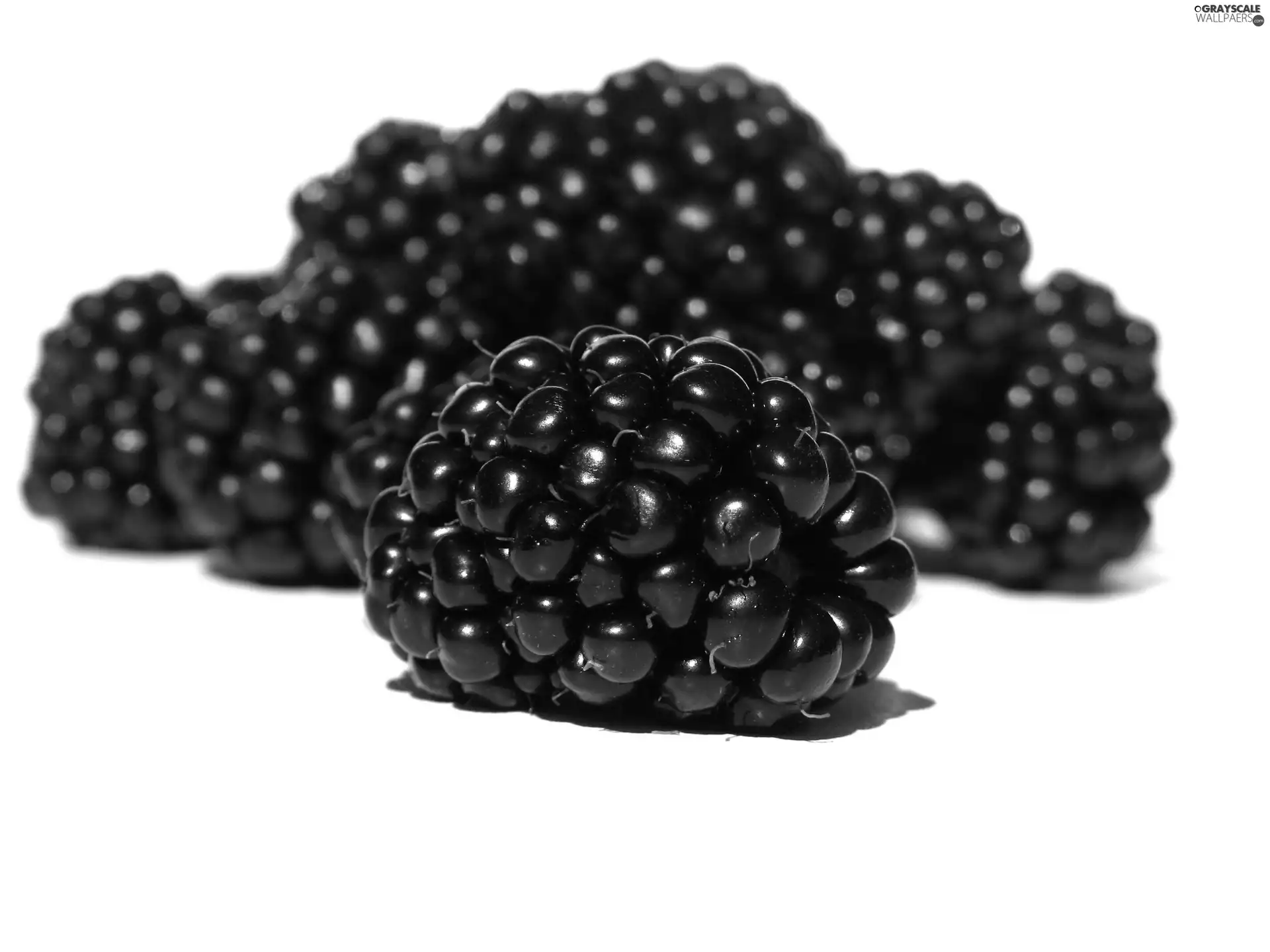 juicy, blackberries