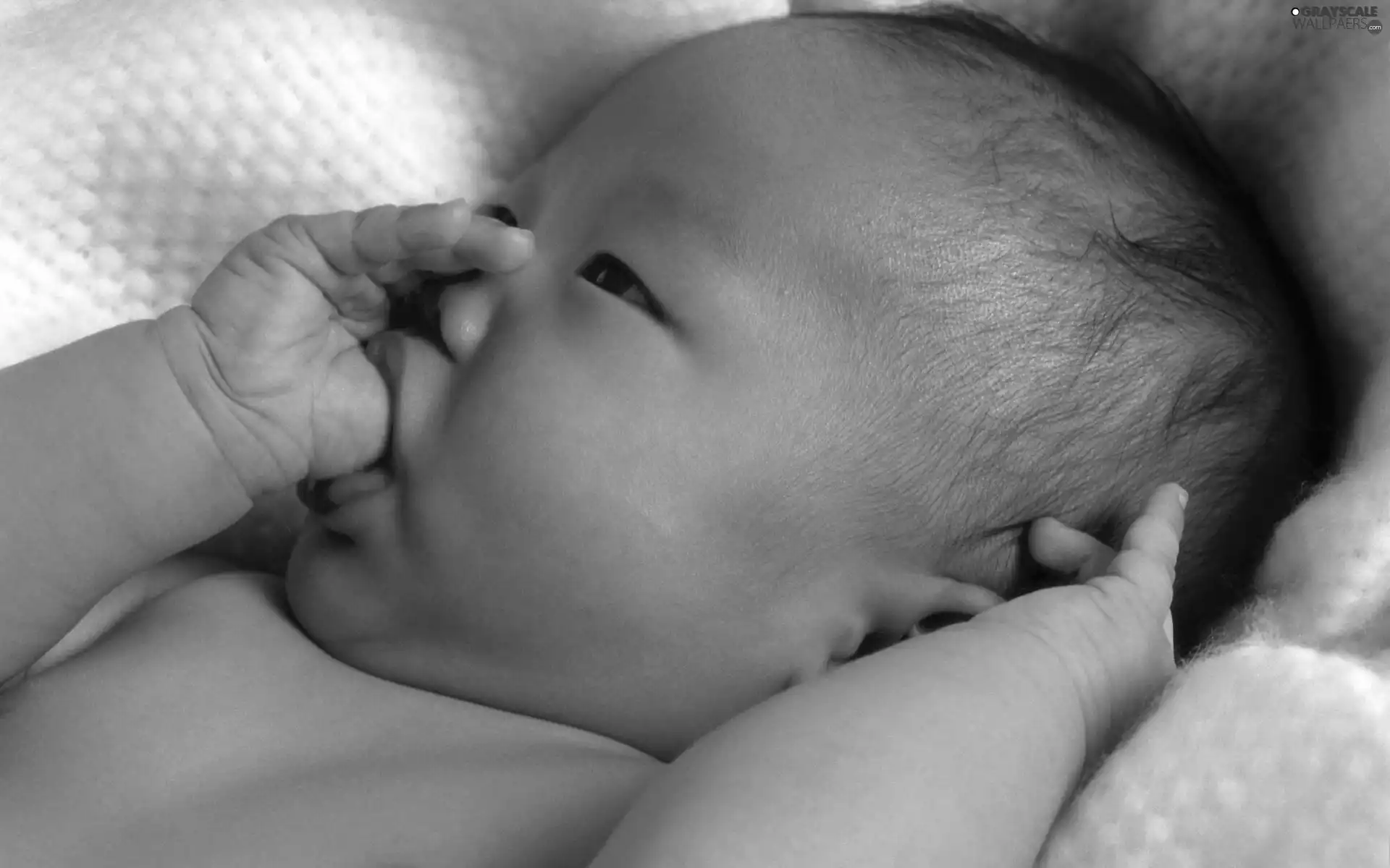 Blanket, infant, Handles
