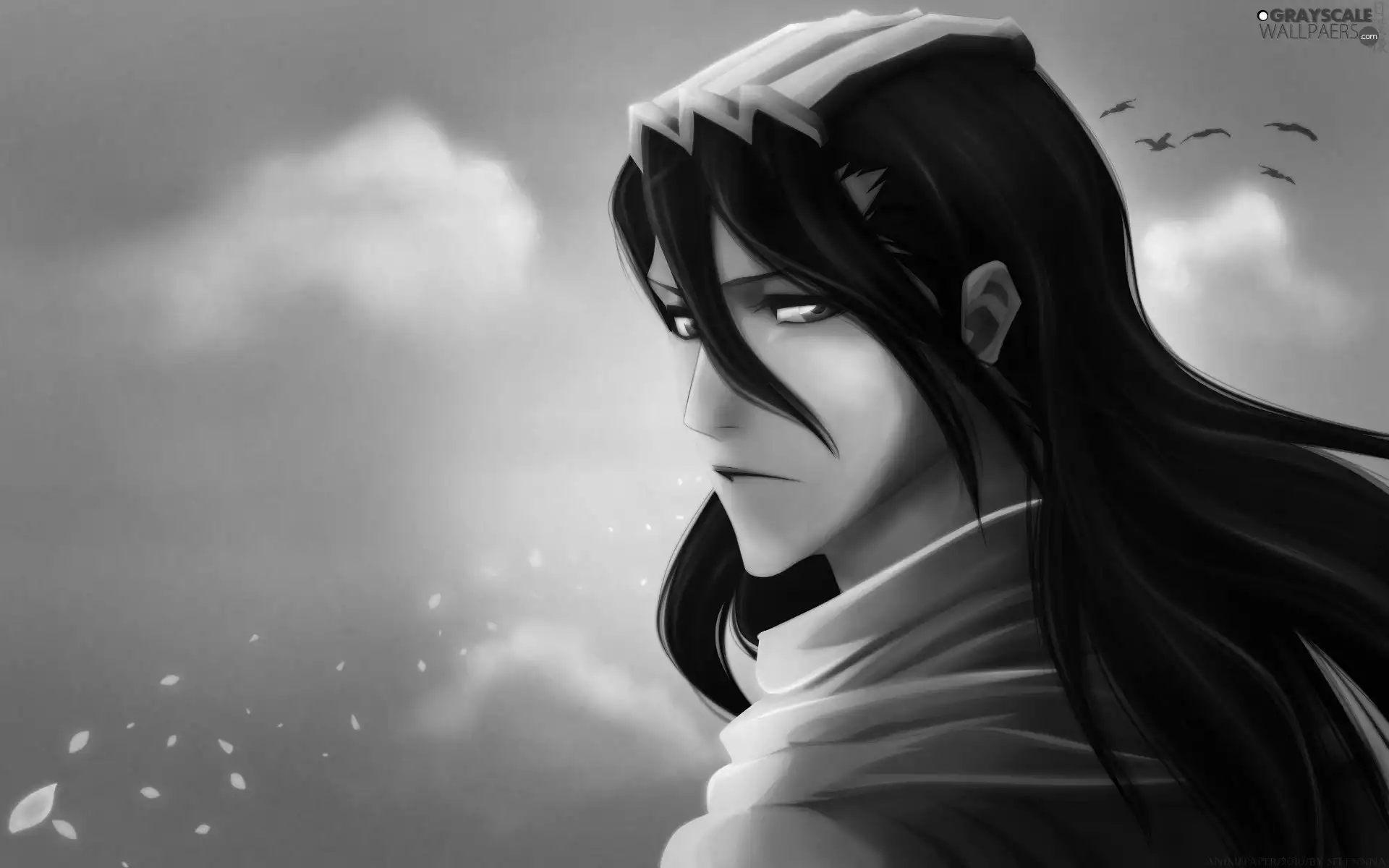 bleach, Kuchiki, Byakuya