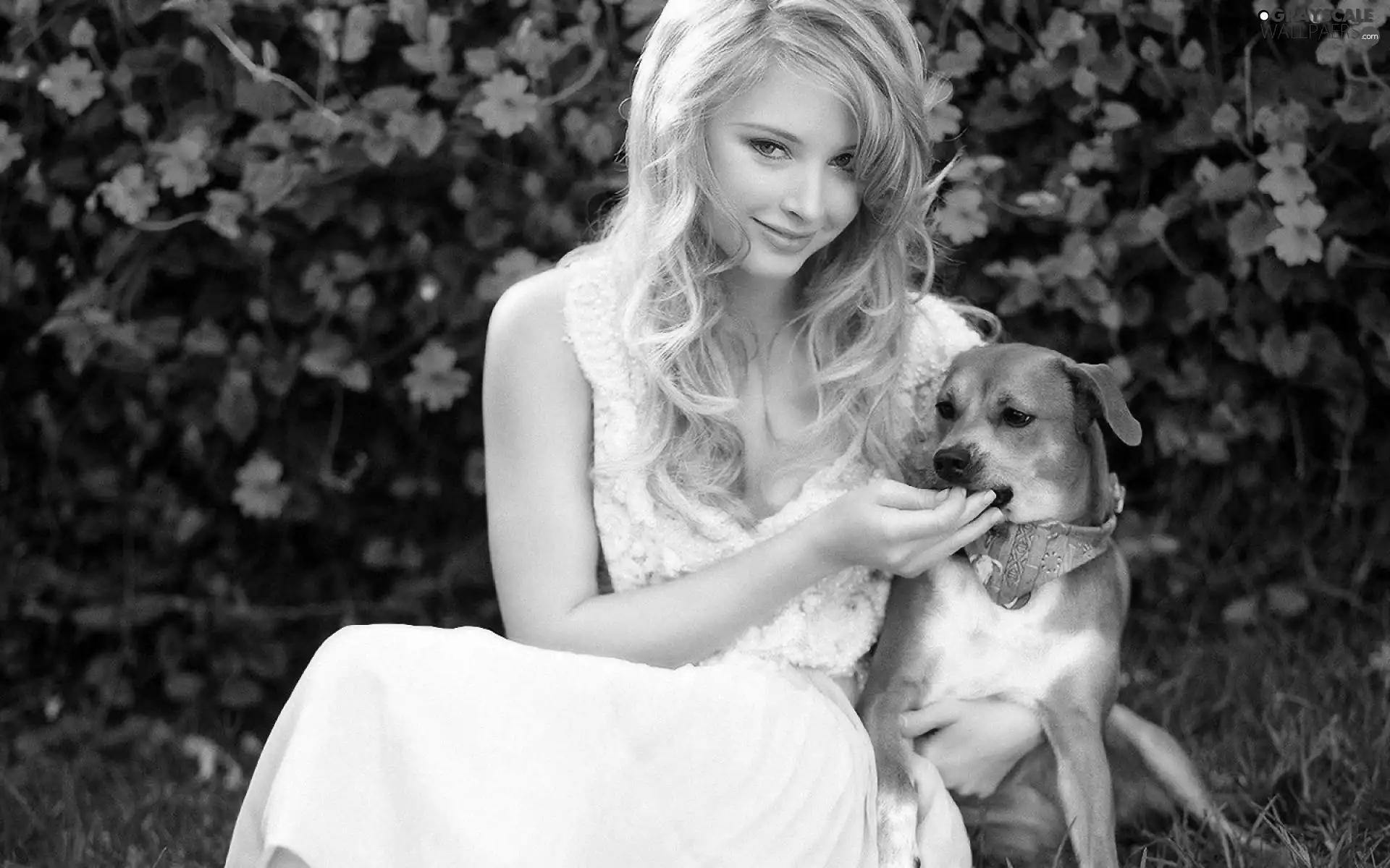 doggy, Elisabeth Harnois, Blonde