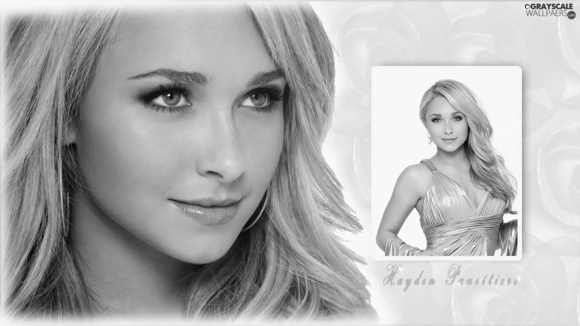 text, Hayden Panettiere, Blonde