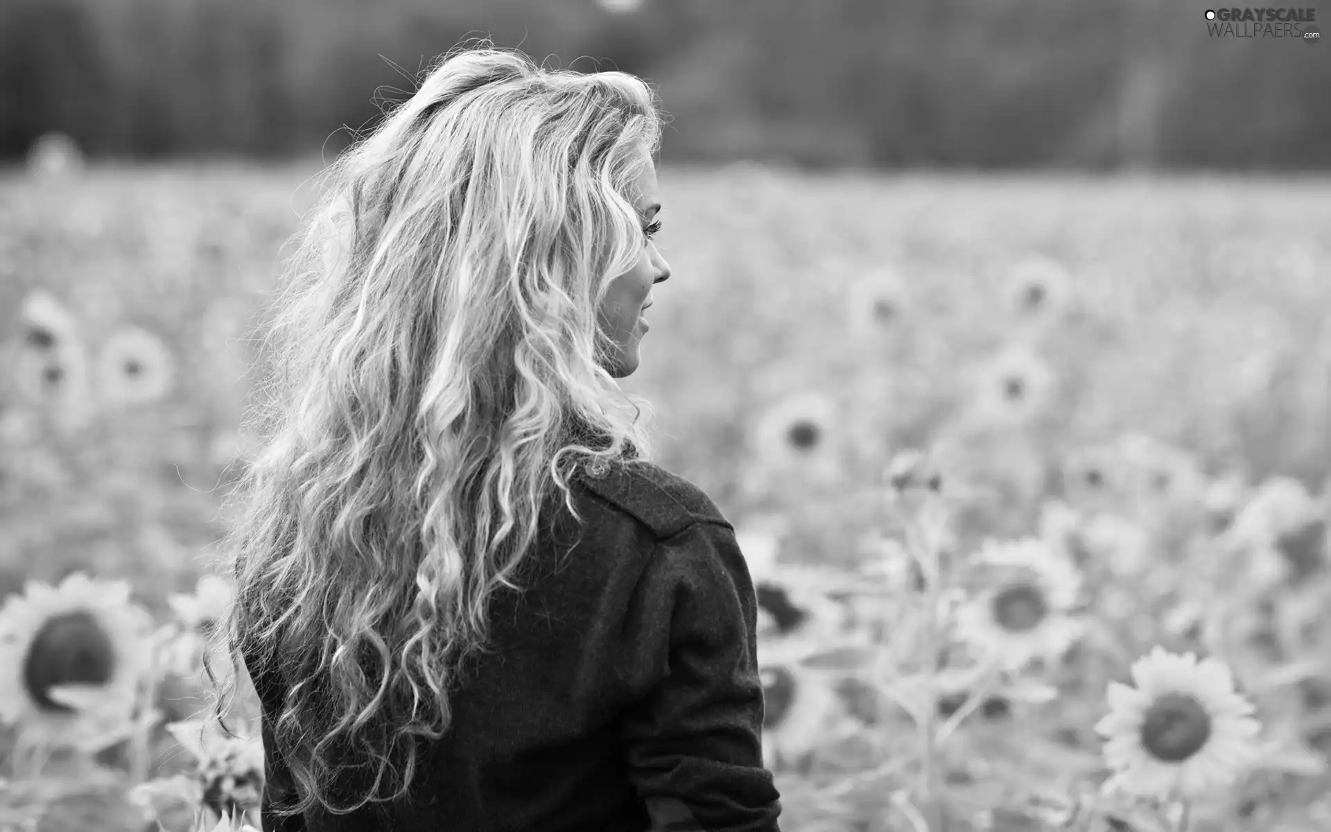 Nice sunflowers, Women, Blonde