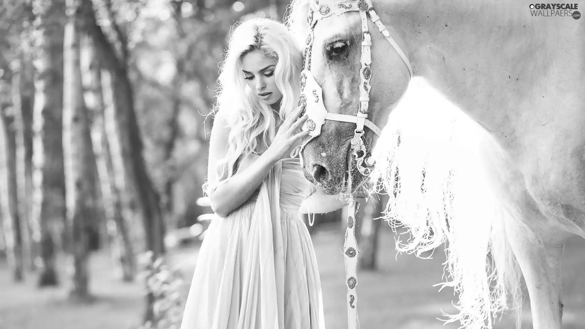 White, Women, Blonde, Horse