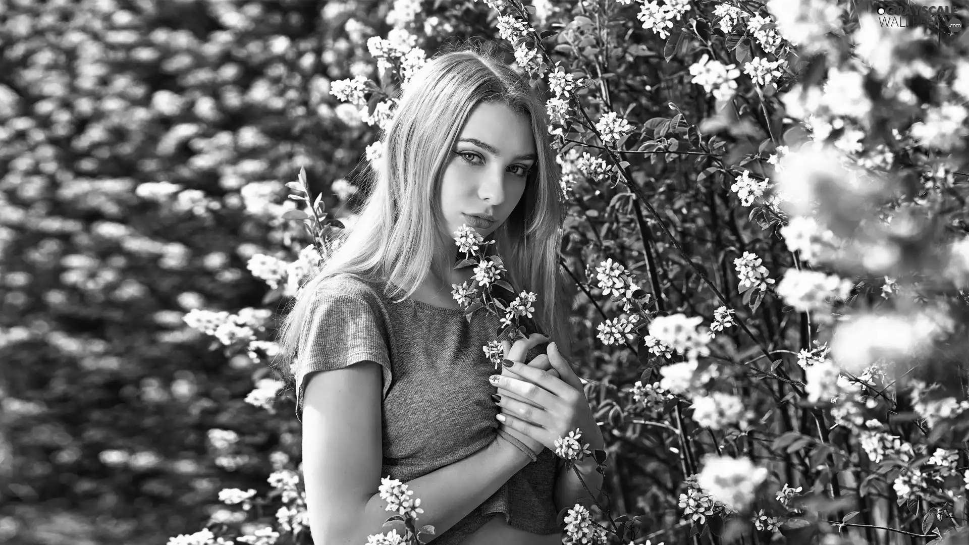 Women, flower, Bush, Blonde