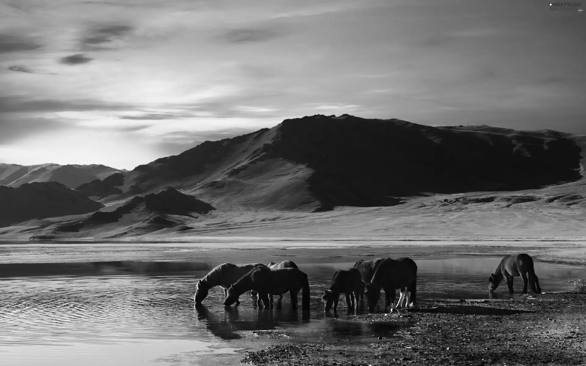 bloodstock, Mountains, lake