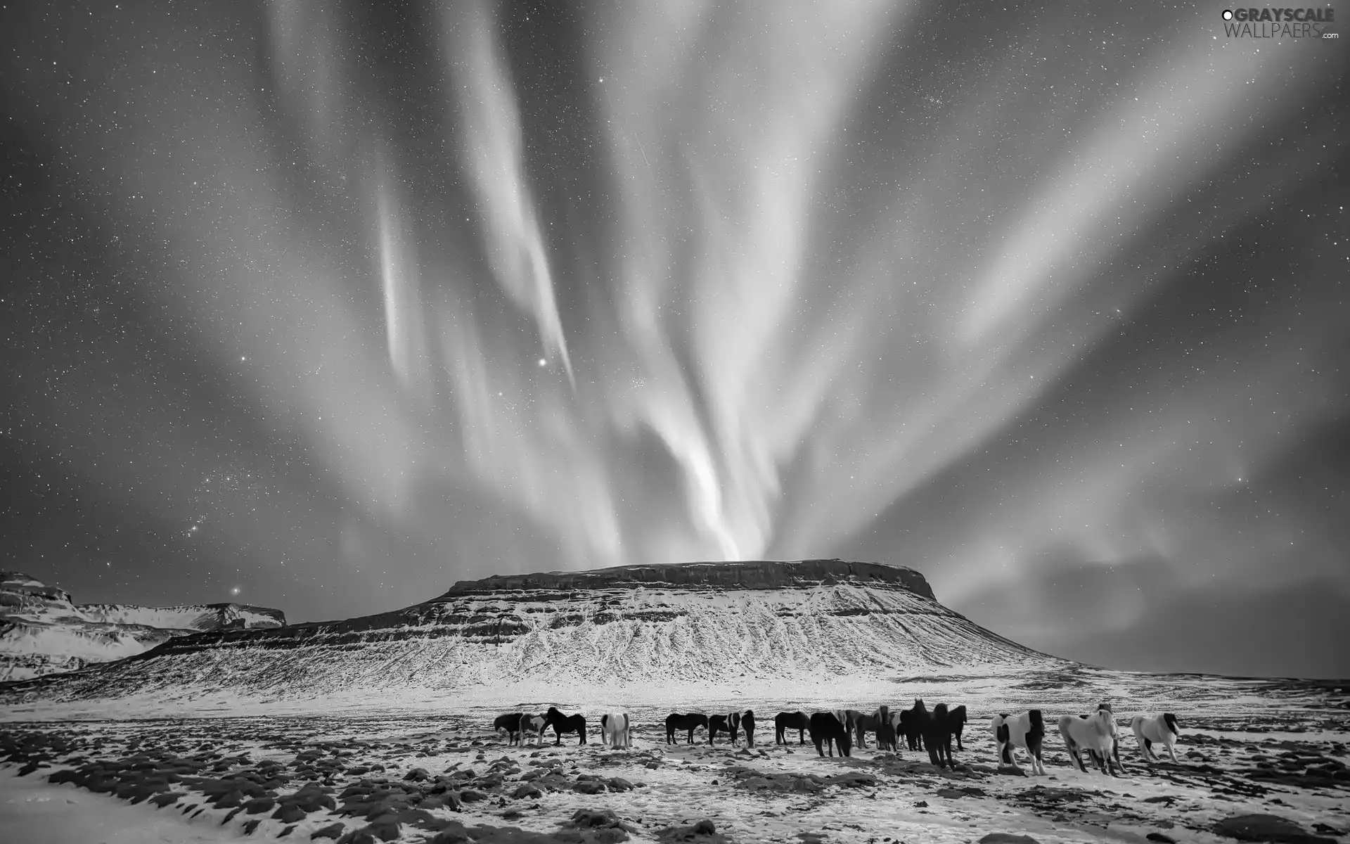 bloodstock, winter, Polaris, Mountains, dawn