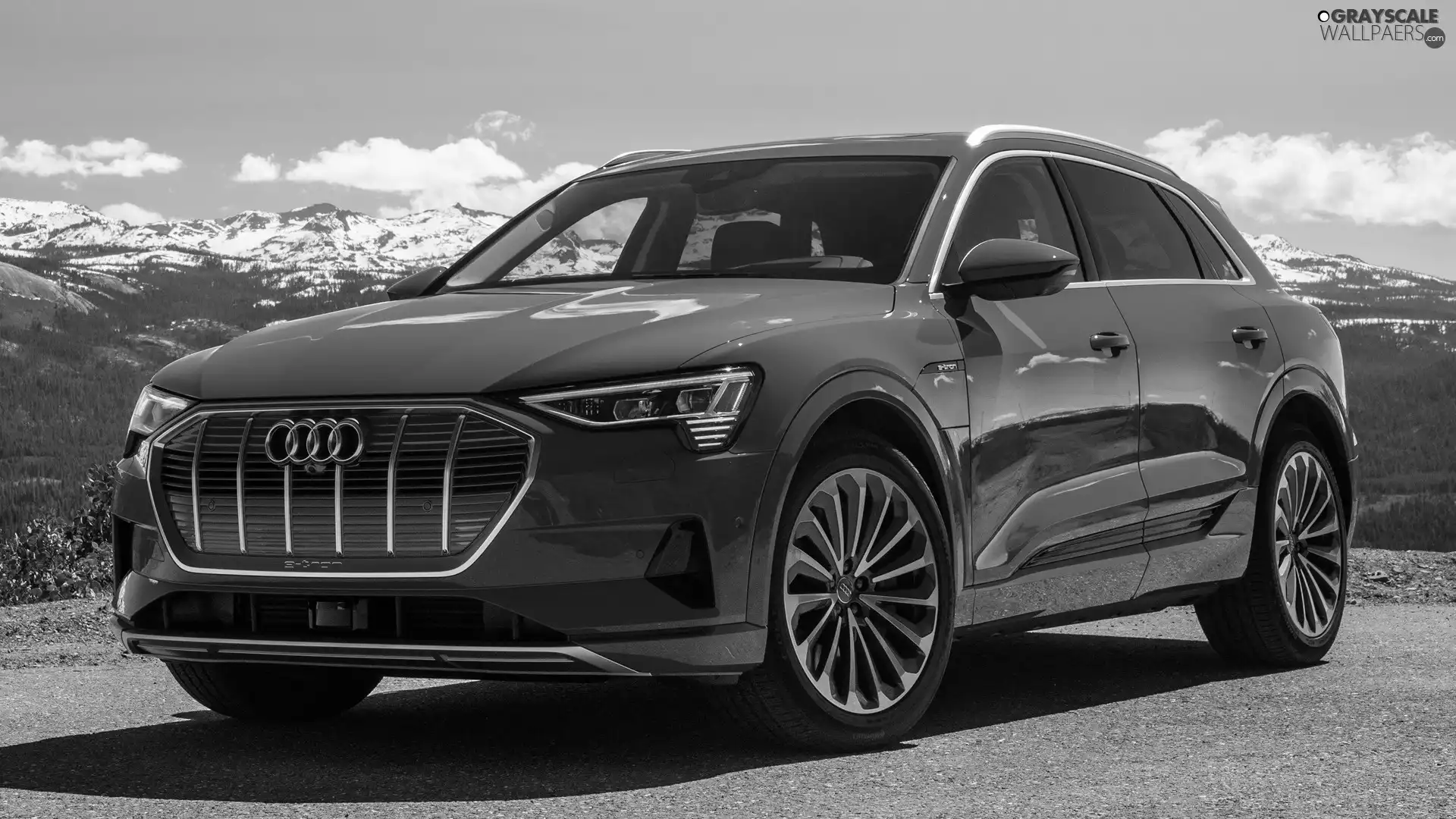 2019, blue, Audi e-Tron