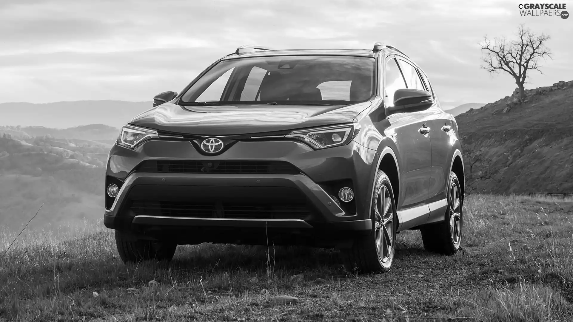 Blue, Toyota RAV4