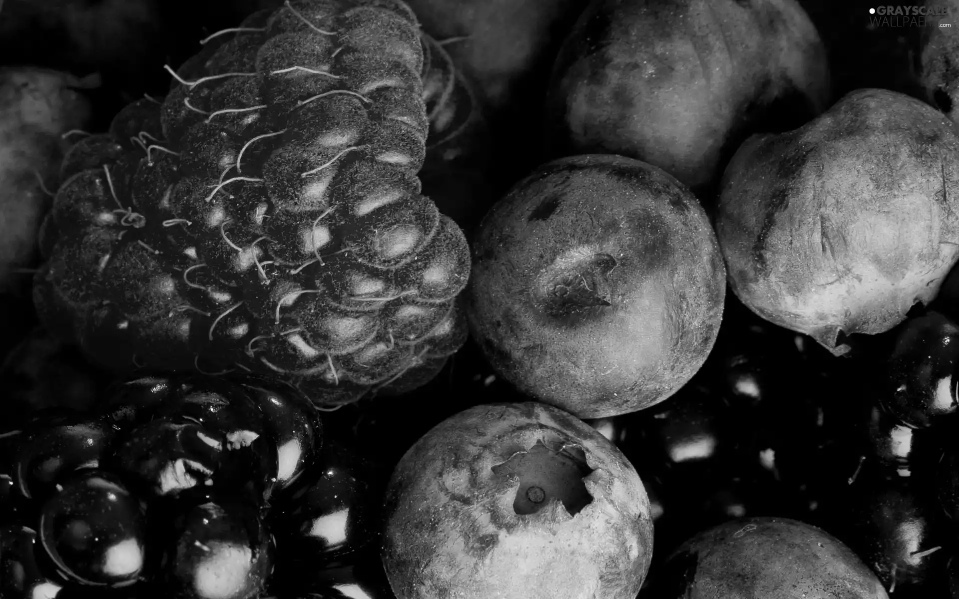 blueberries, raspberry, blackberry