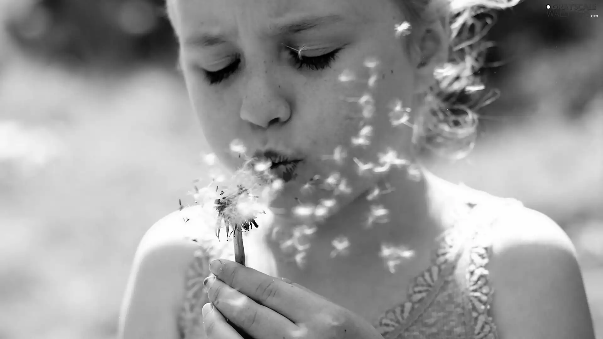 girl, rapprochement, blur, dandelion